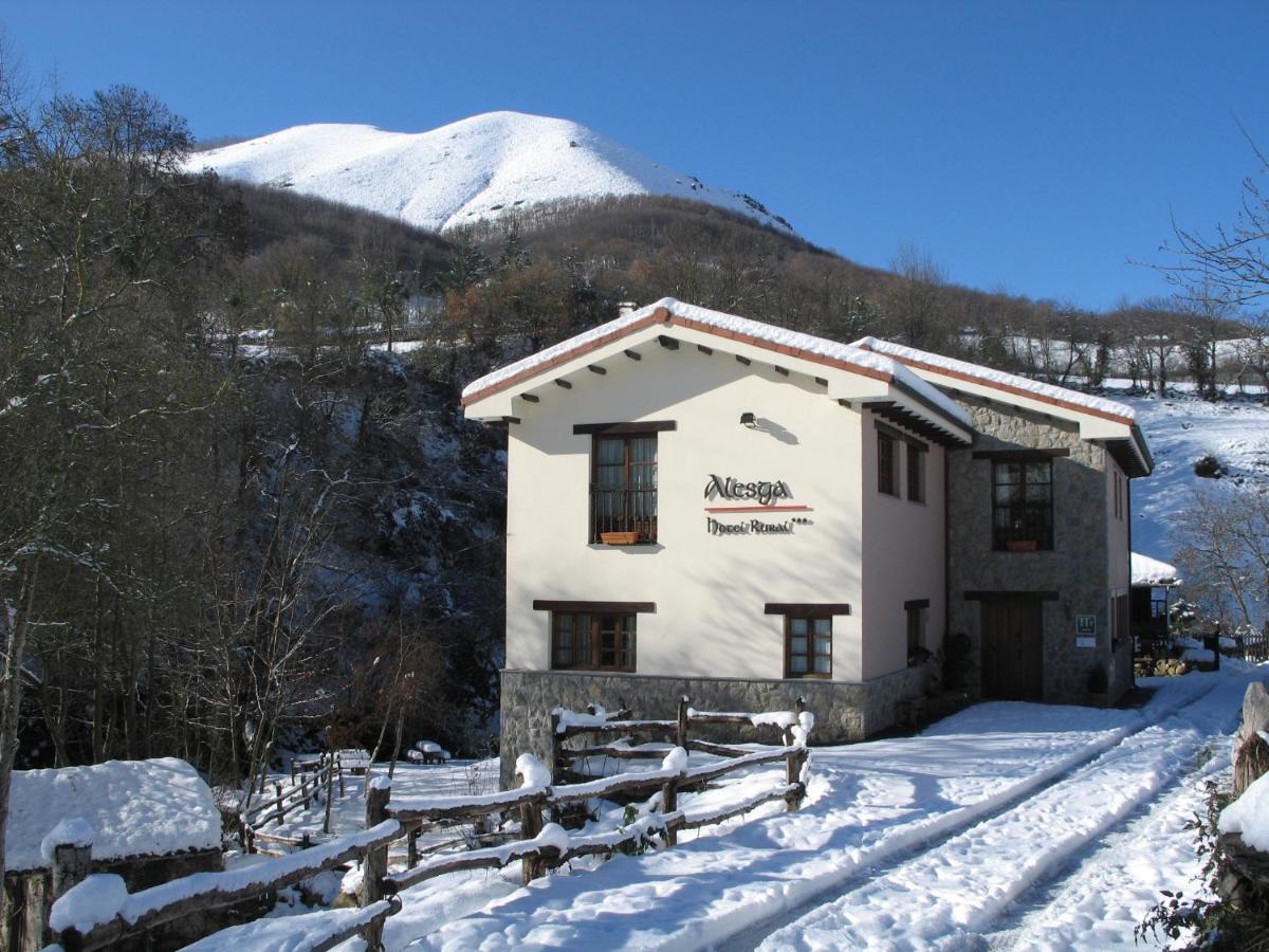 Alesga Rural