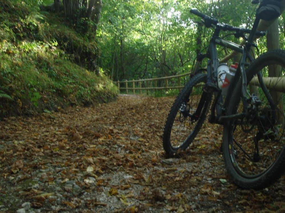 Apartamentos Rurales Balcon Real