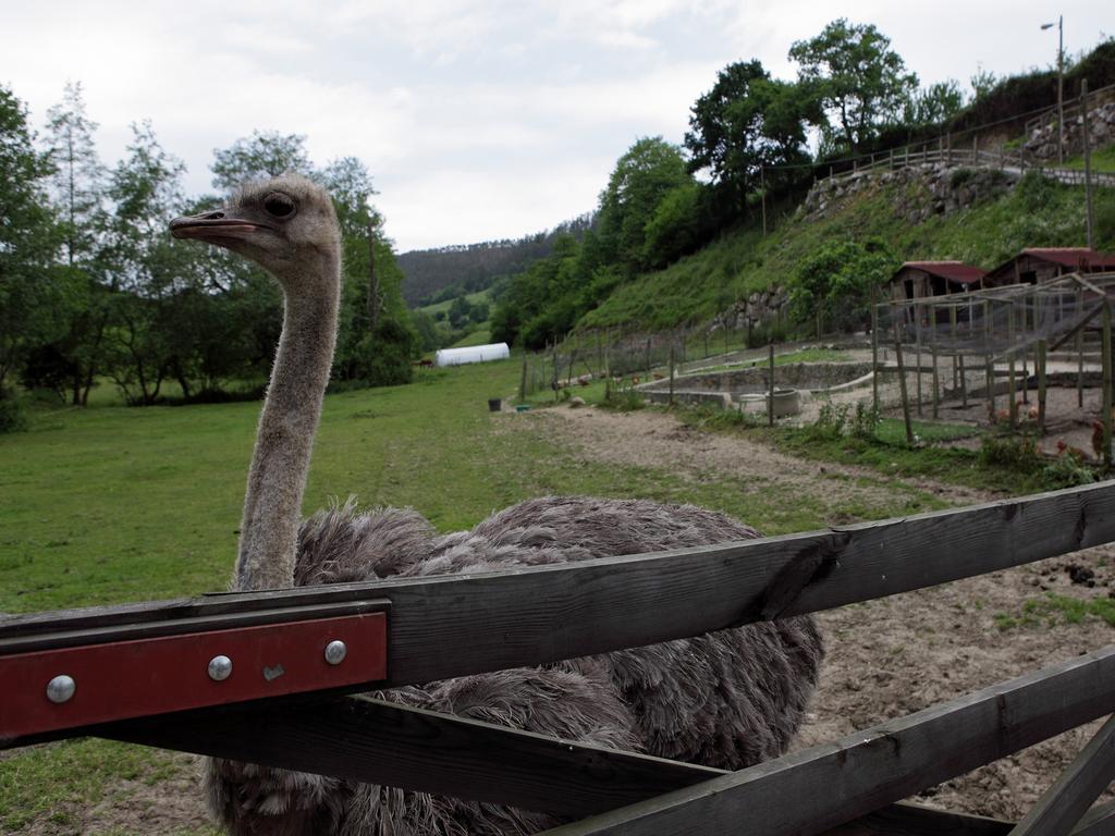 Molino de Tresgrandas