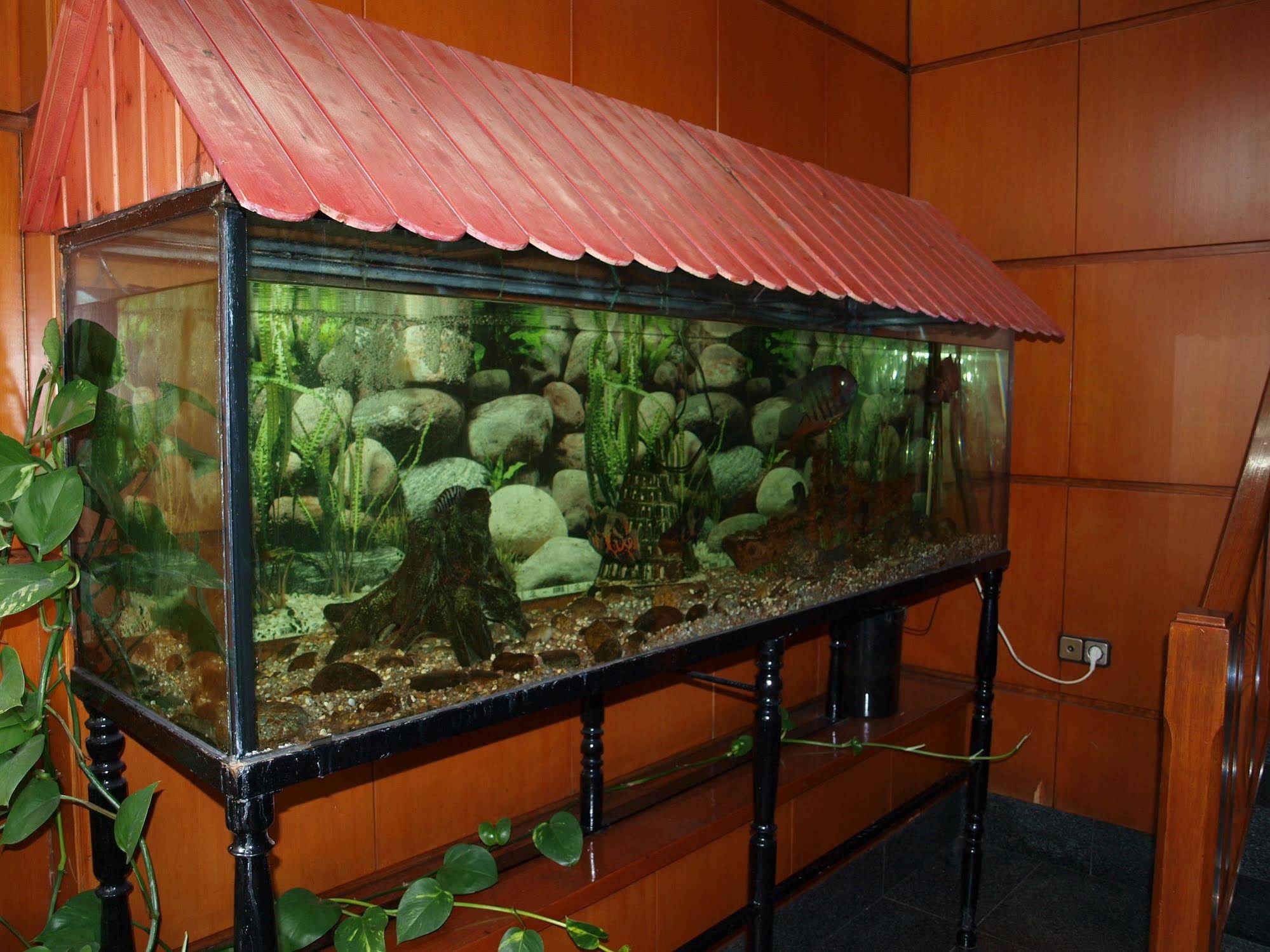 Hotel Francisco Javier