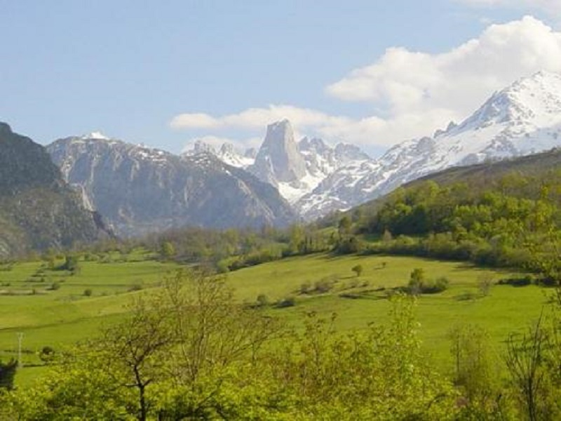 Picos de Europa