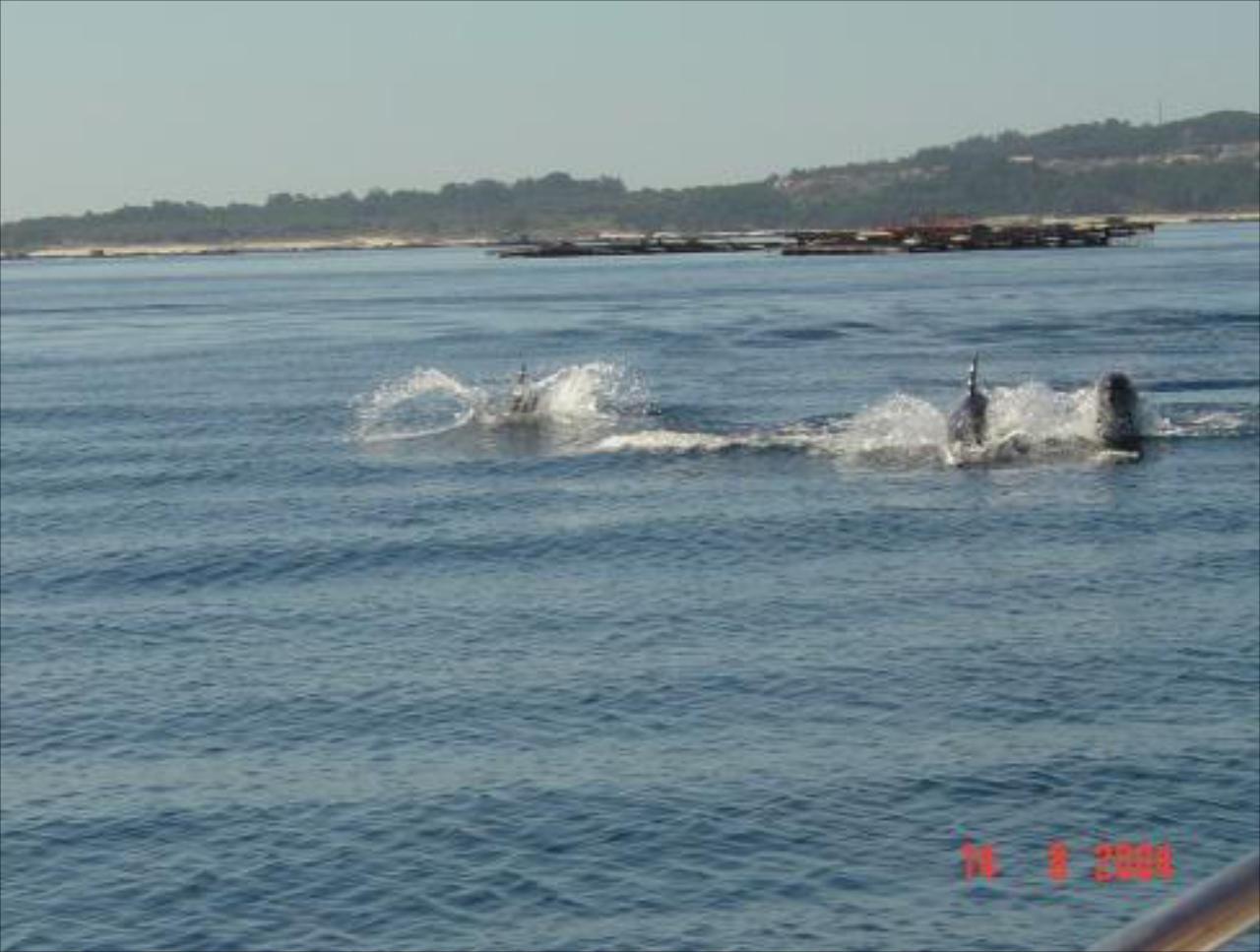 Casa Marinera Carmen A Pomba