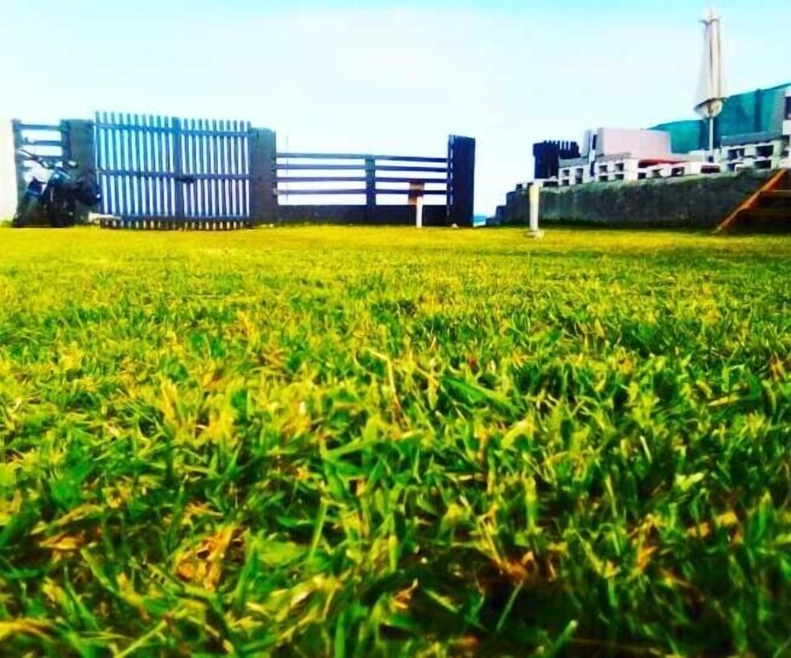 Escuela de Surf y Hostel Baldaio