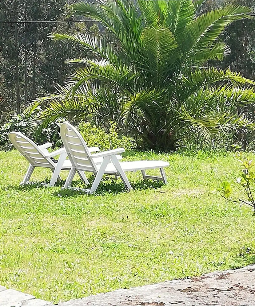 La Panera Encantada De Corollos