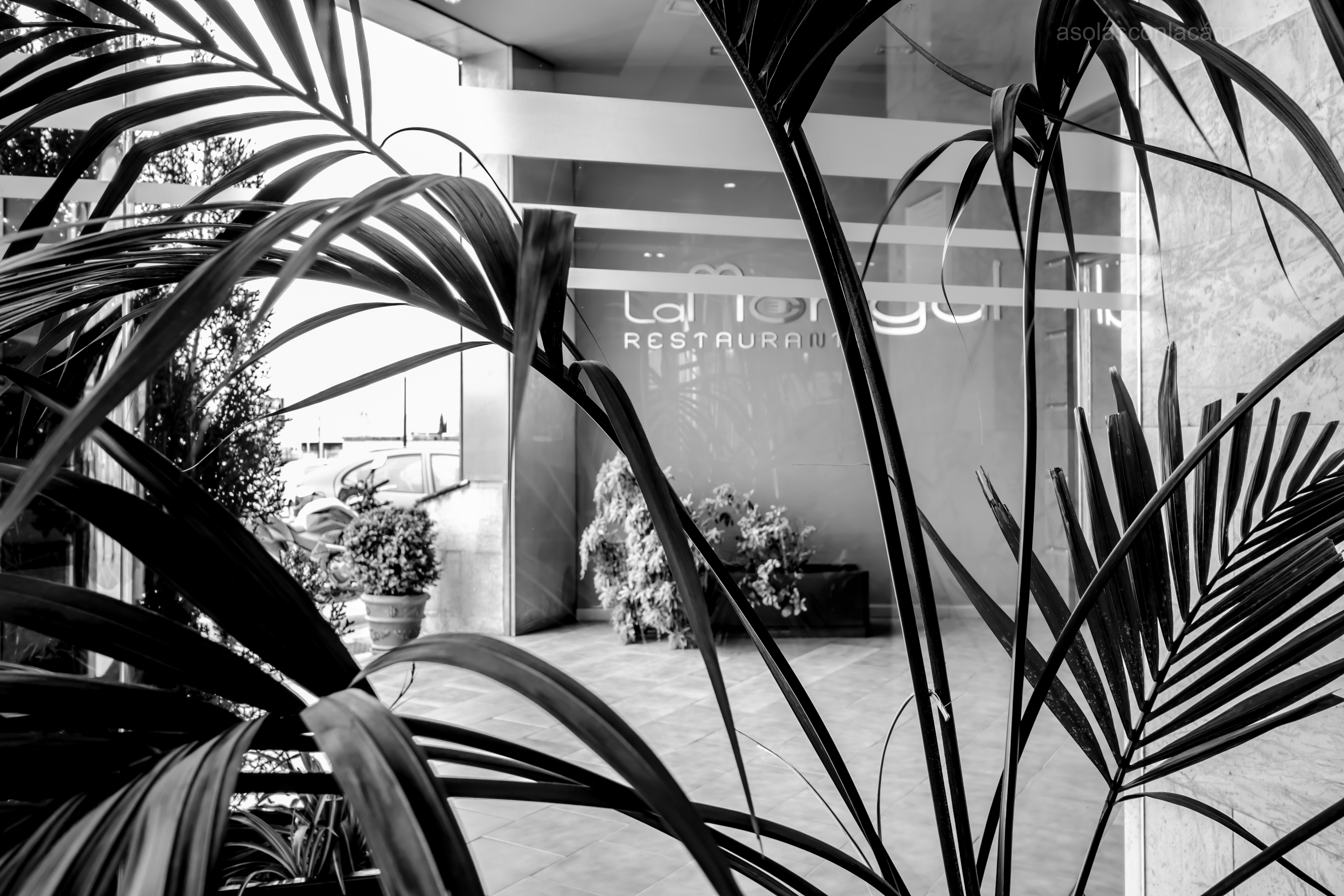 Hotel Silvota
