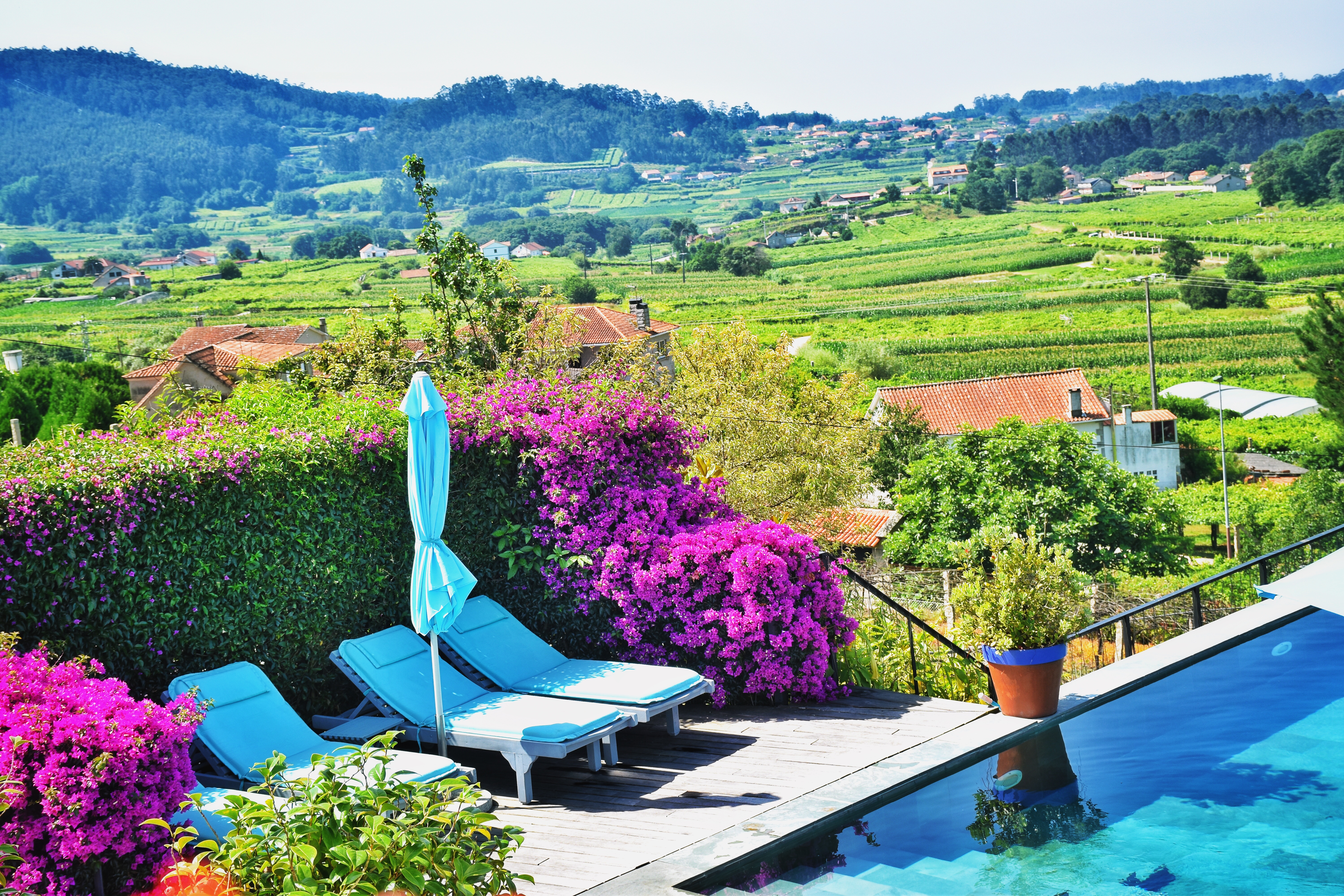 Quinta de San Amaro