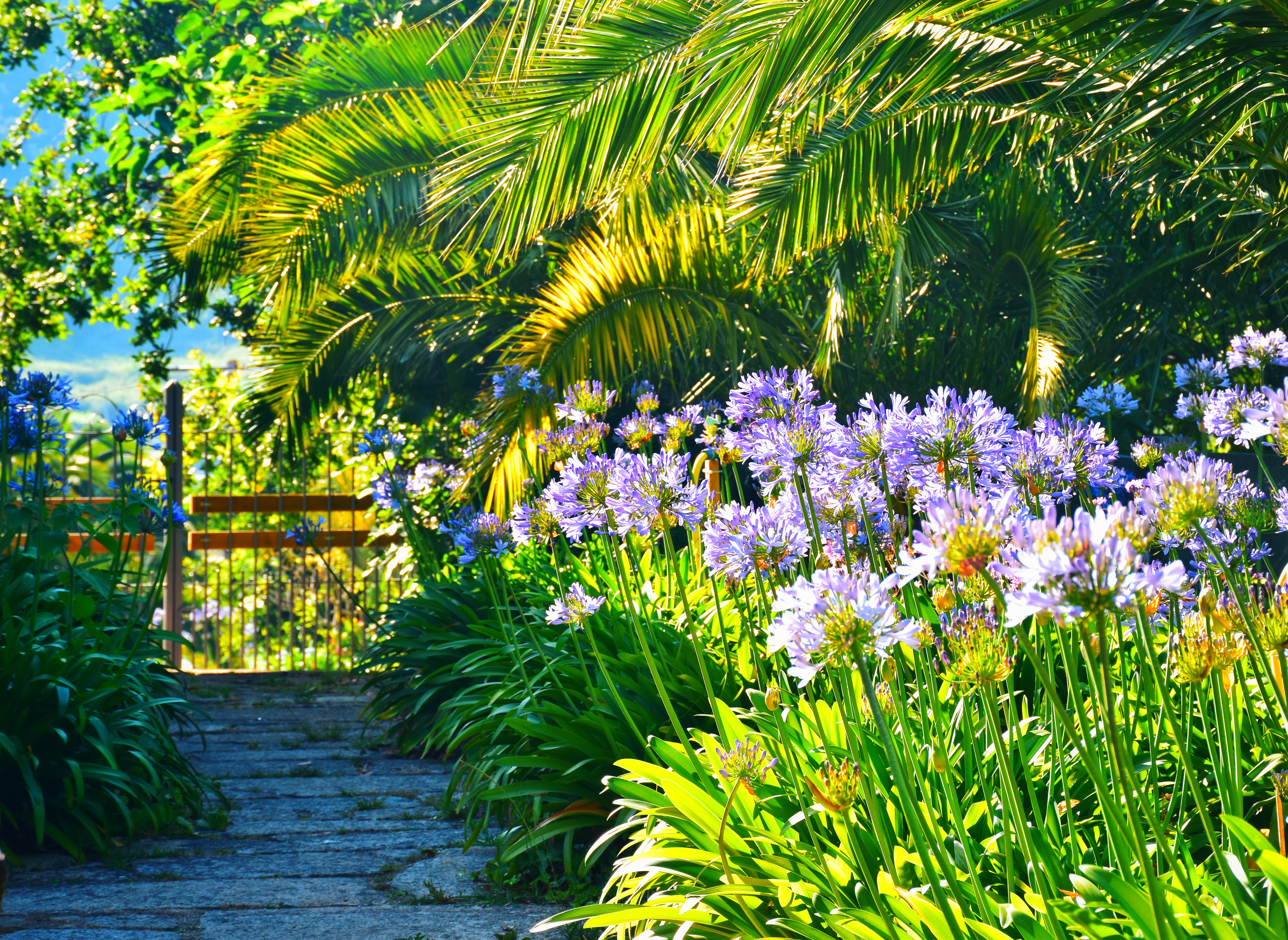Quinta de San Amaro