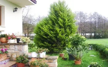 Ibarrondo Etxea Agroturismo