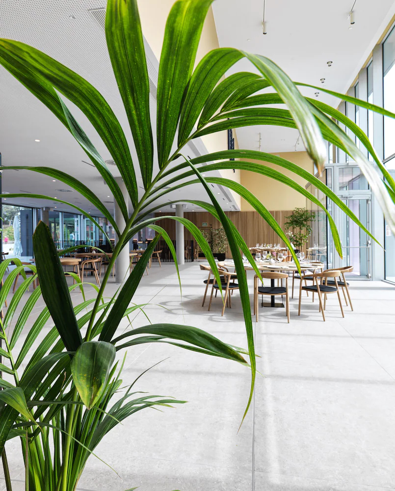 NOA Boutique Hotel