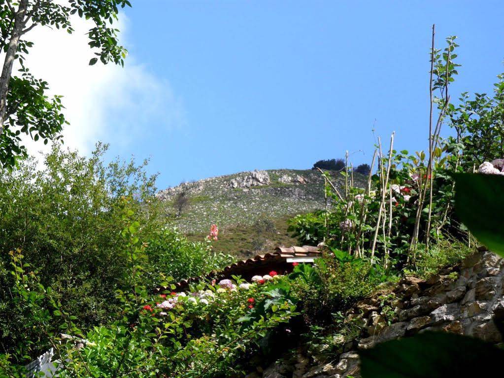 Casa Rural La Posada del Alba