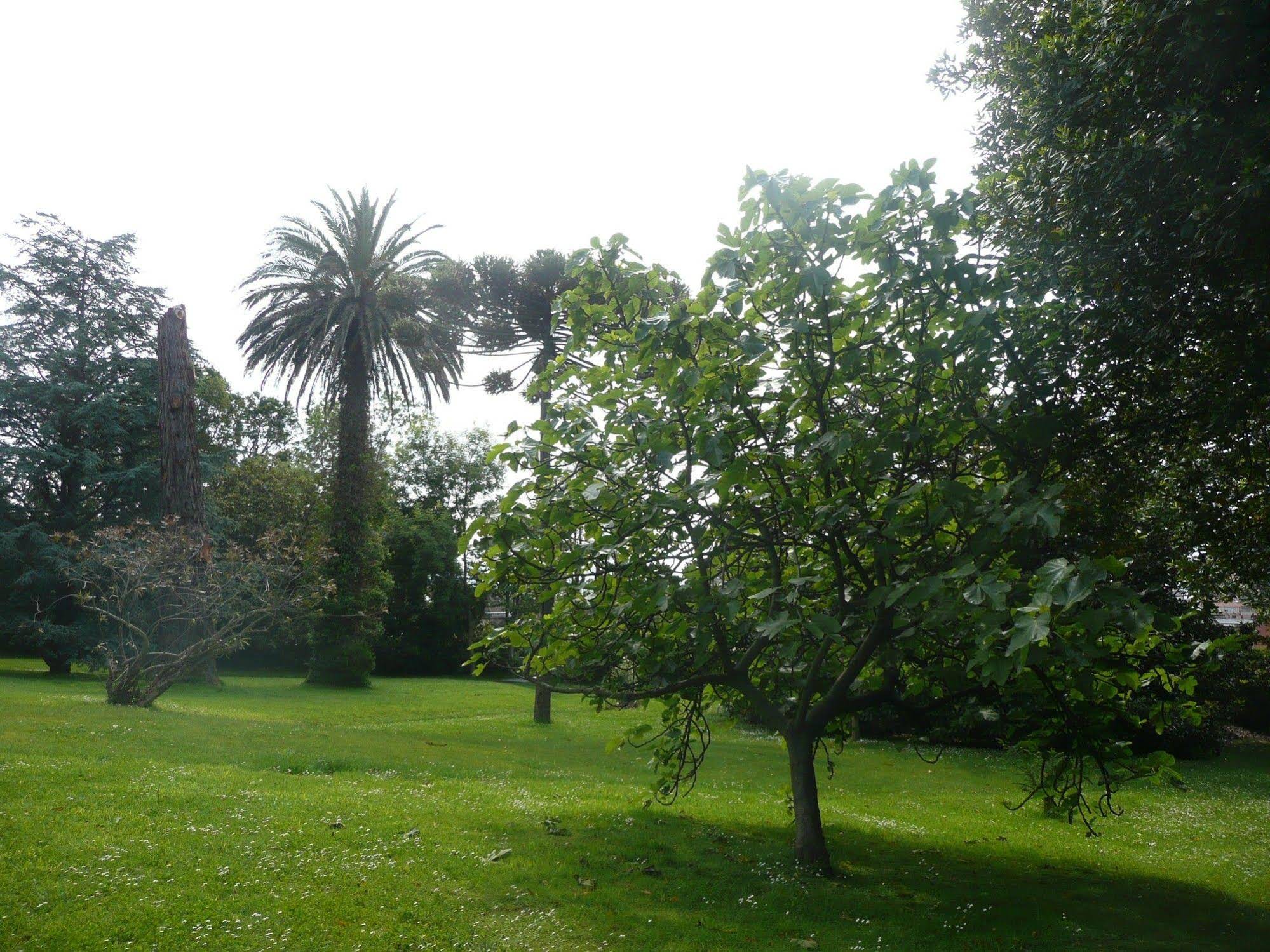 Escuela Las Carolinas