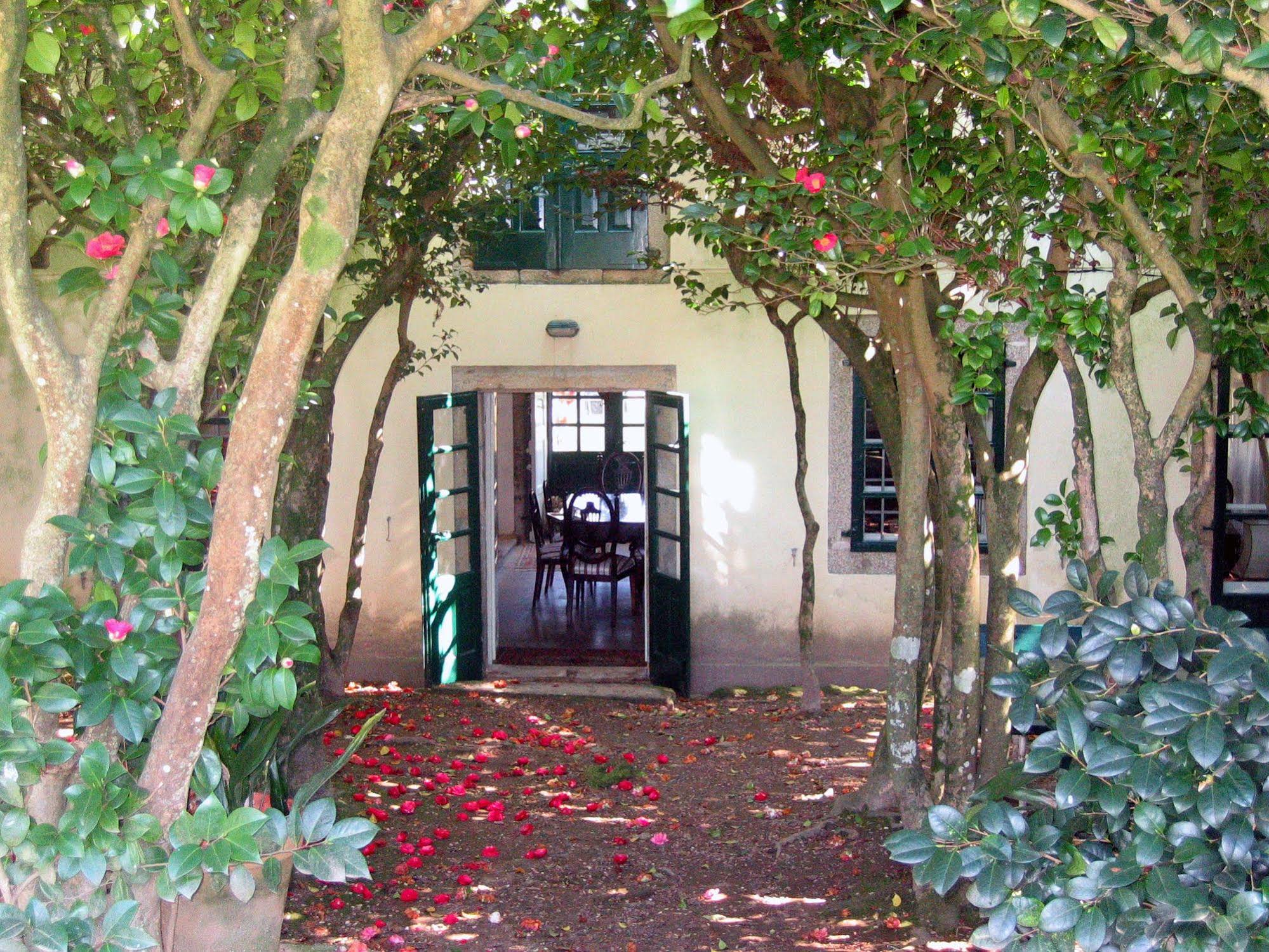 Pazo Cibran