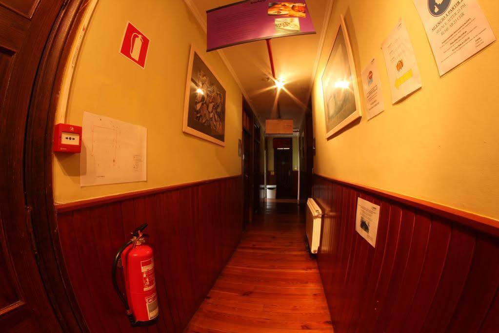 Roots&Boots Singular Hostel
