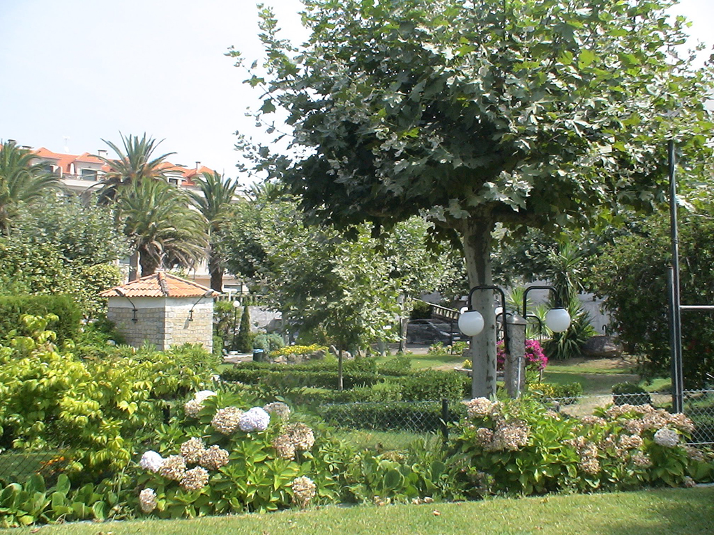 Apartamentos Revo Salinas 3000