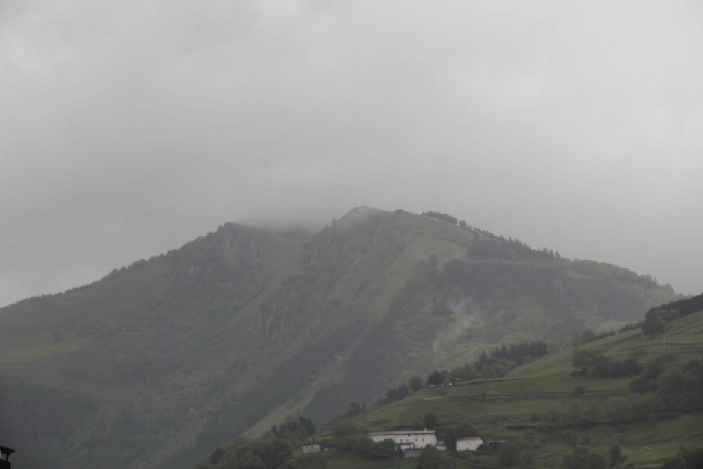 Oria