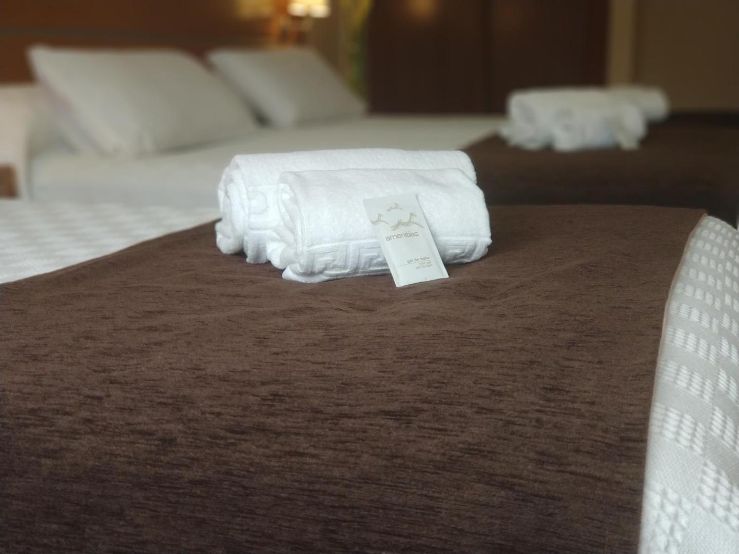 Hotel Avion