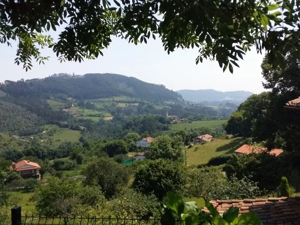 Trisqueles y Buganvillas