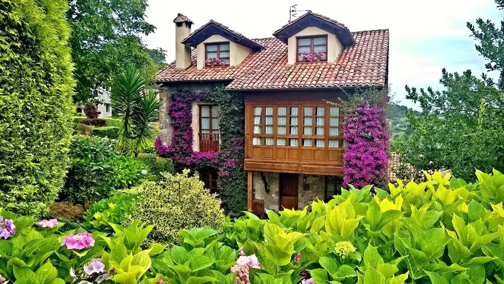 Trisqueles y Buganvillas
