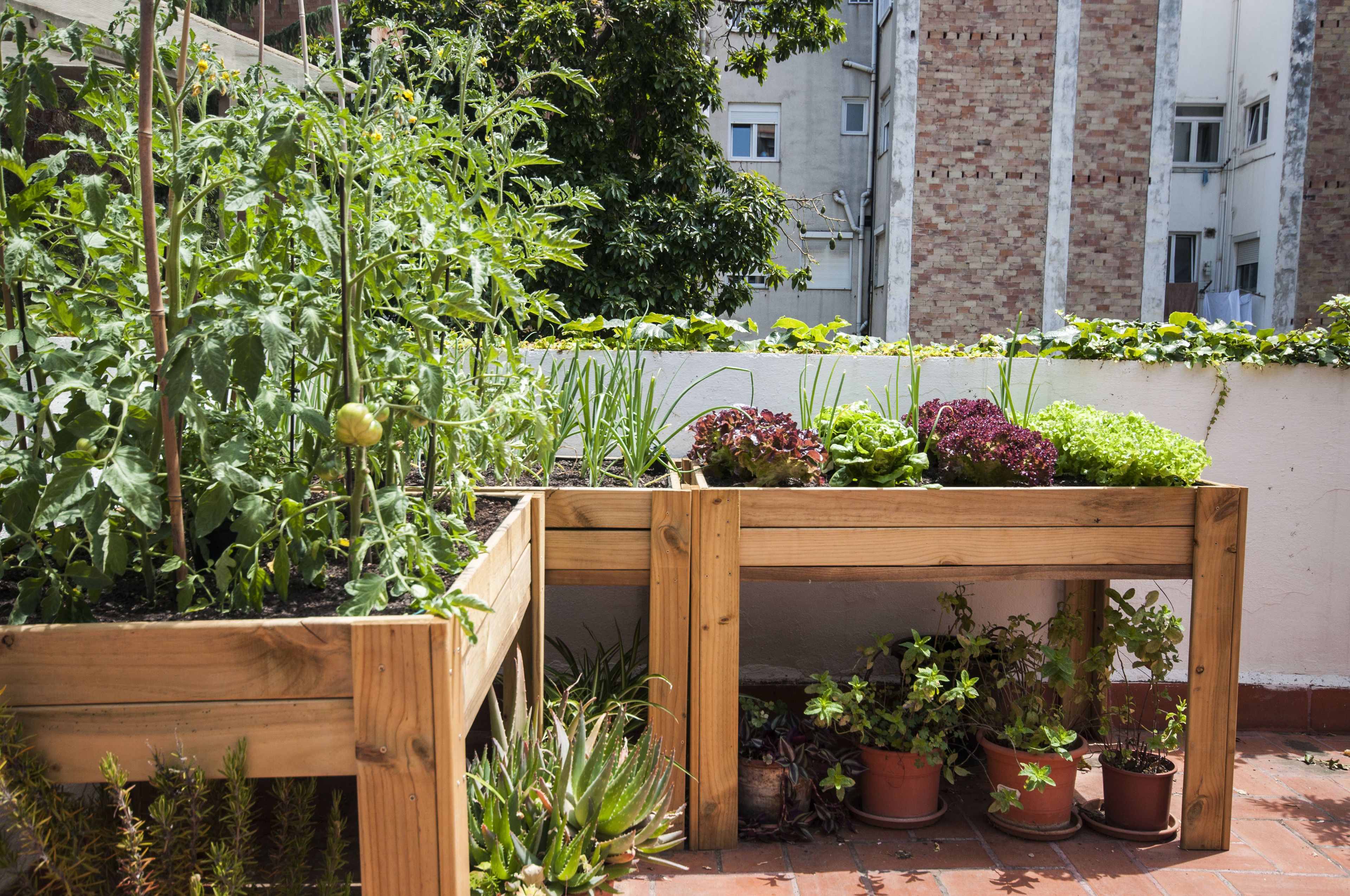 Albergue Studio Hostel