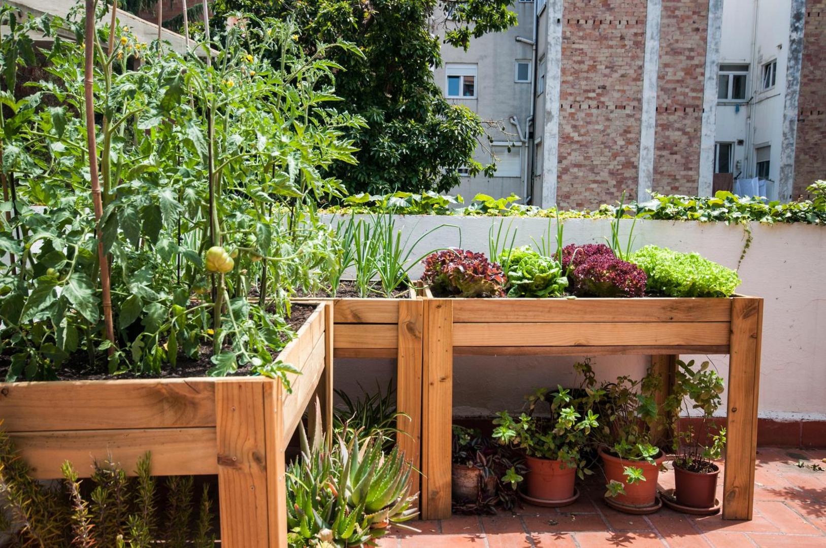 Albergue Studio Hostel