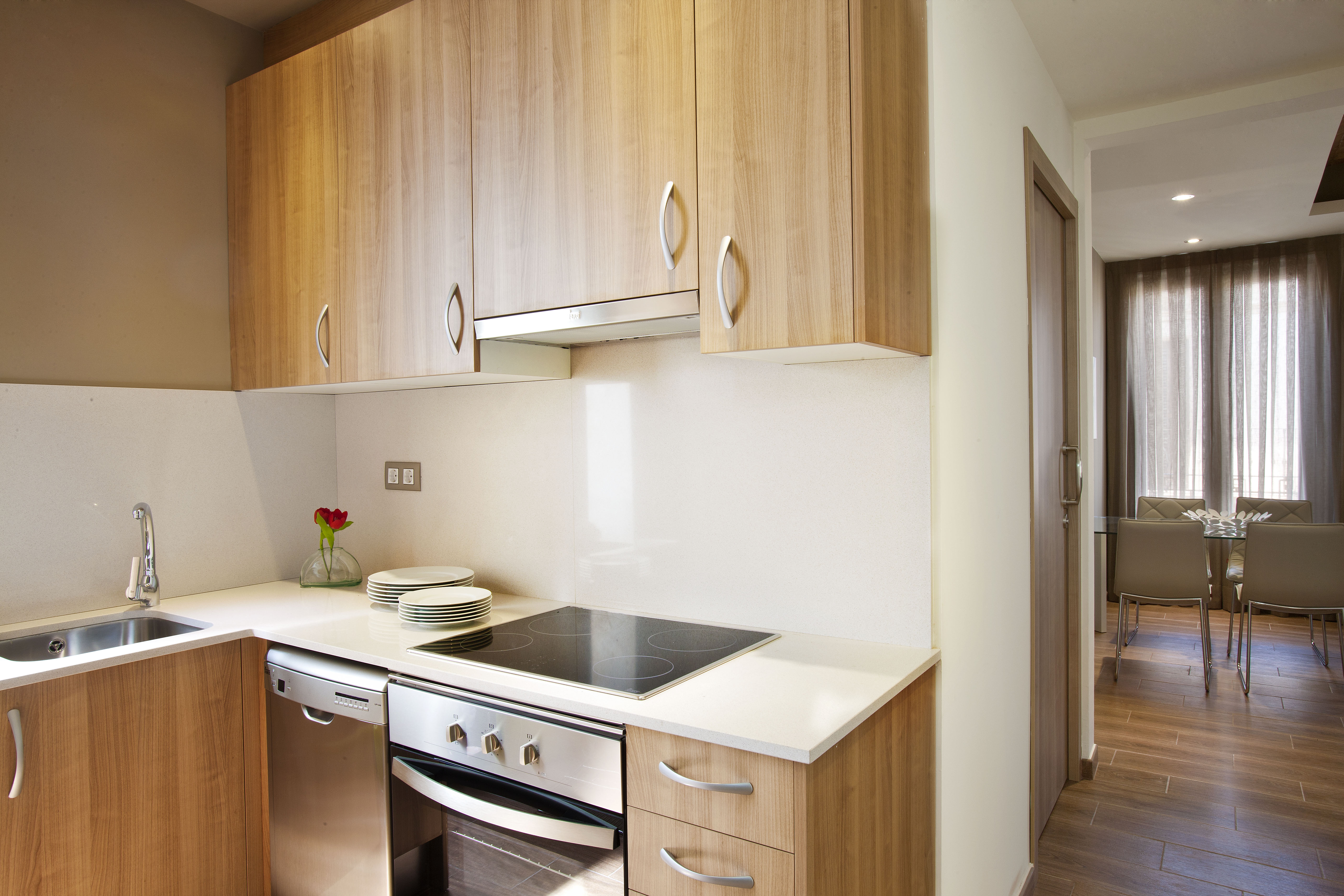 Barcelona Apartment Milà