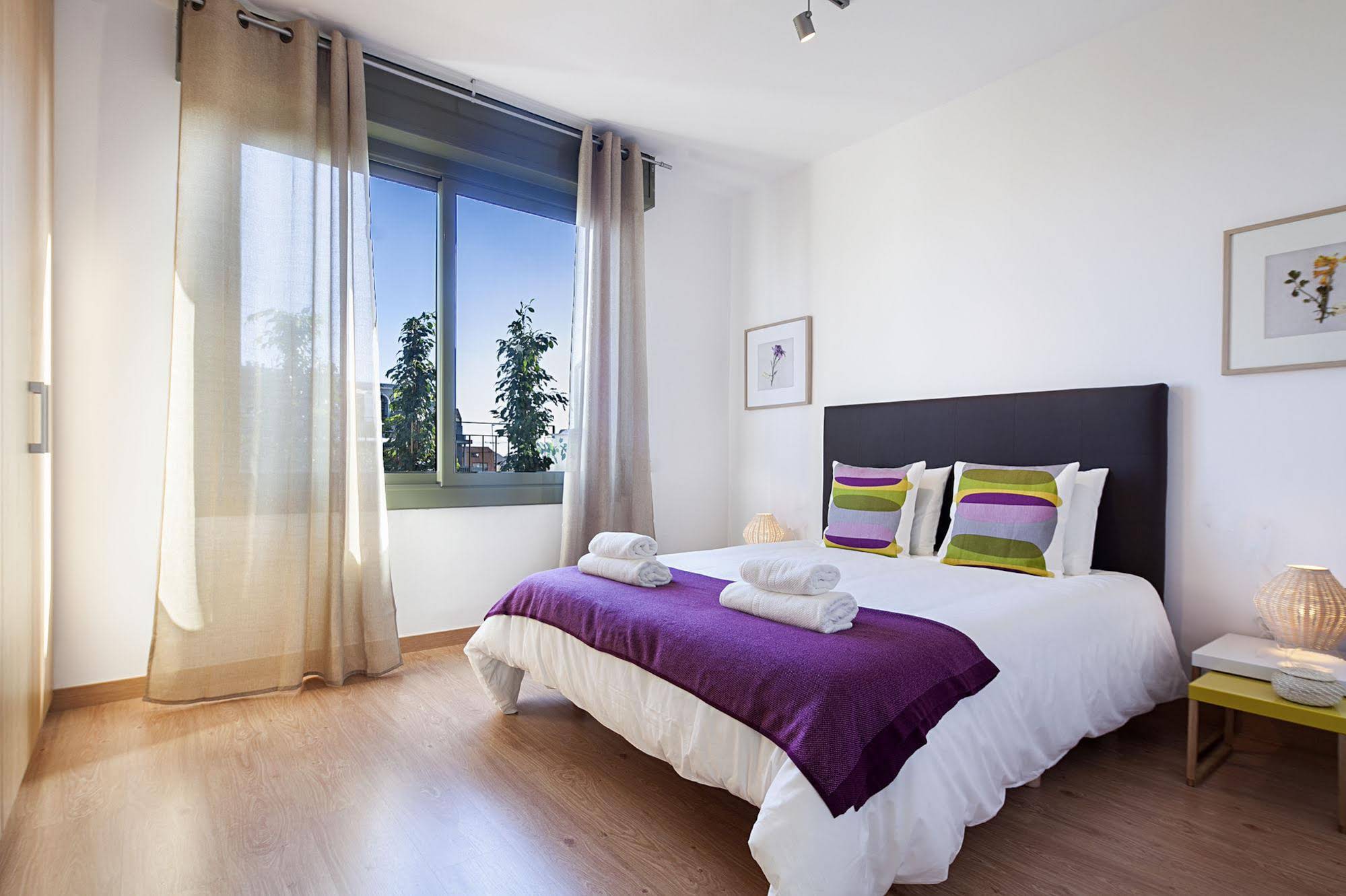 Bonavista Pedrera