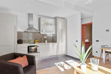 Fisa Rentals Ramblas Apartments