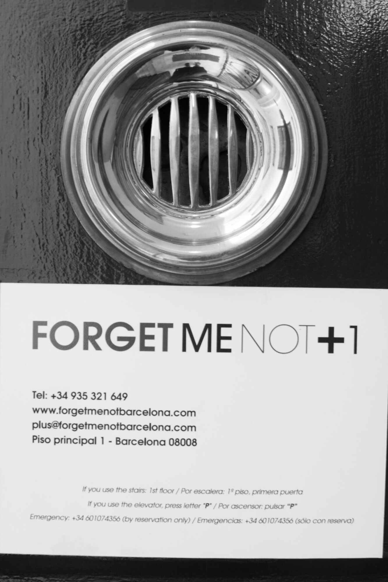 Forget Me Not Barcelona