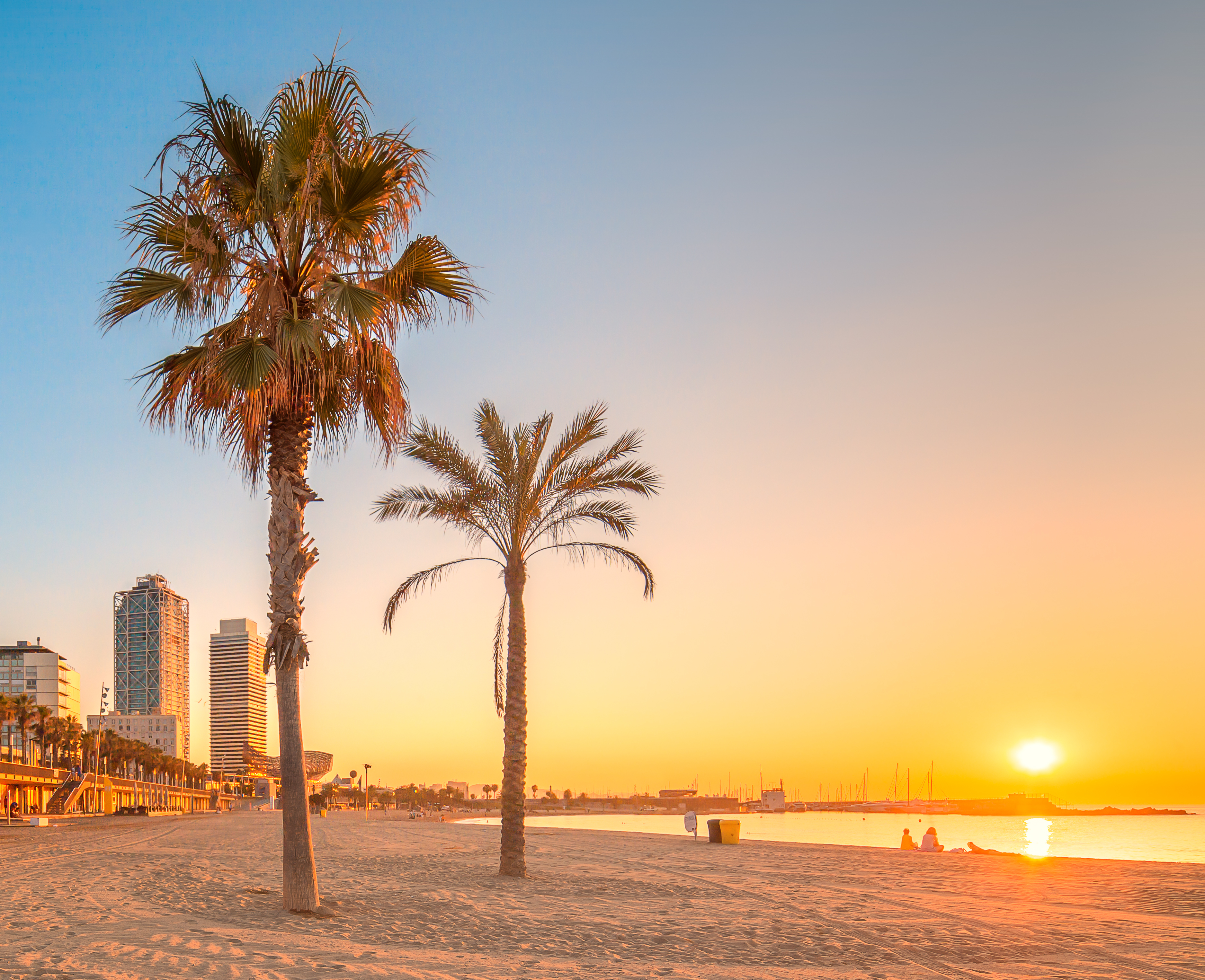 SB Icaria Barcelona