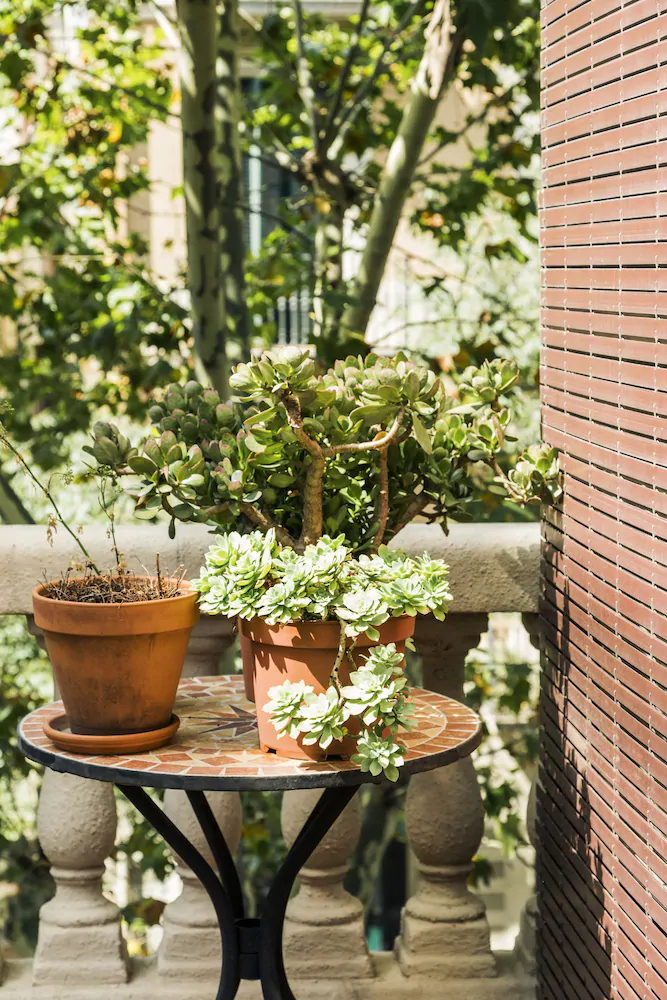 La Casa Gran Barcelona B&B