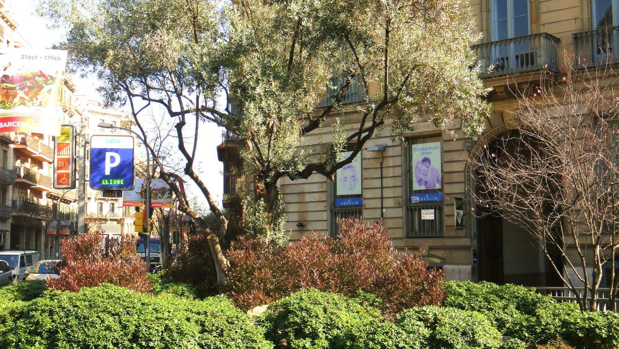 Natura Barcelona Hostal