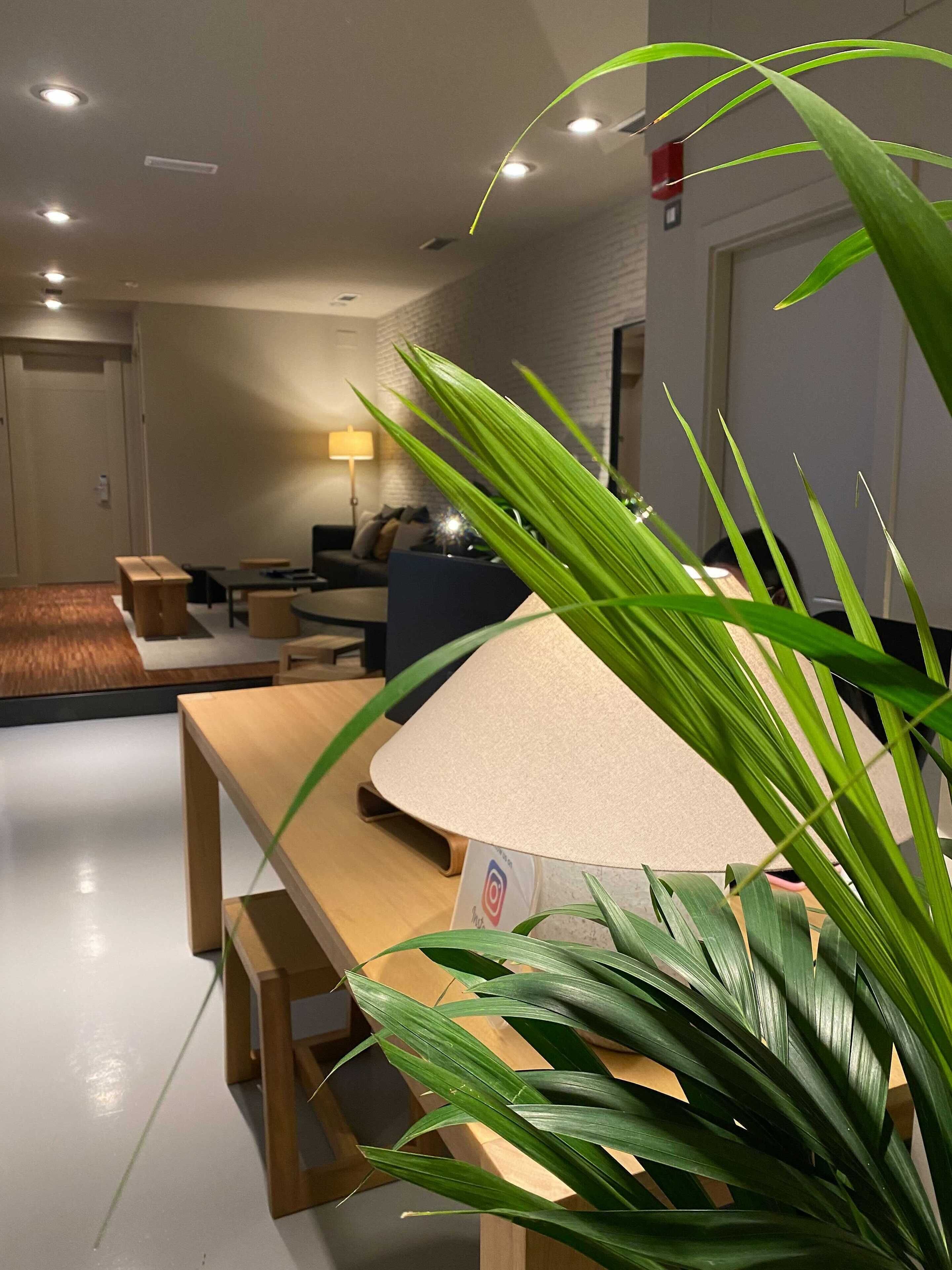 UMA Suites Barcelona Pau Claris Guesthouse