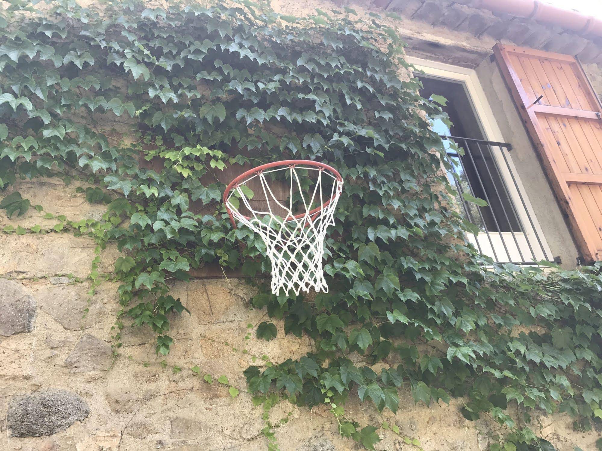 Paratgea