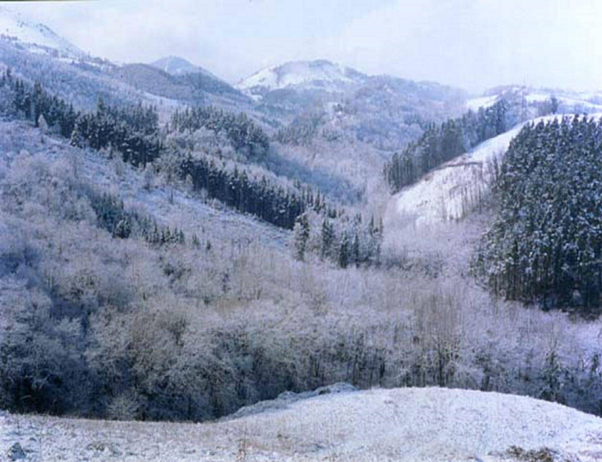 Pardiola Baserria Casa Rural