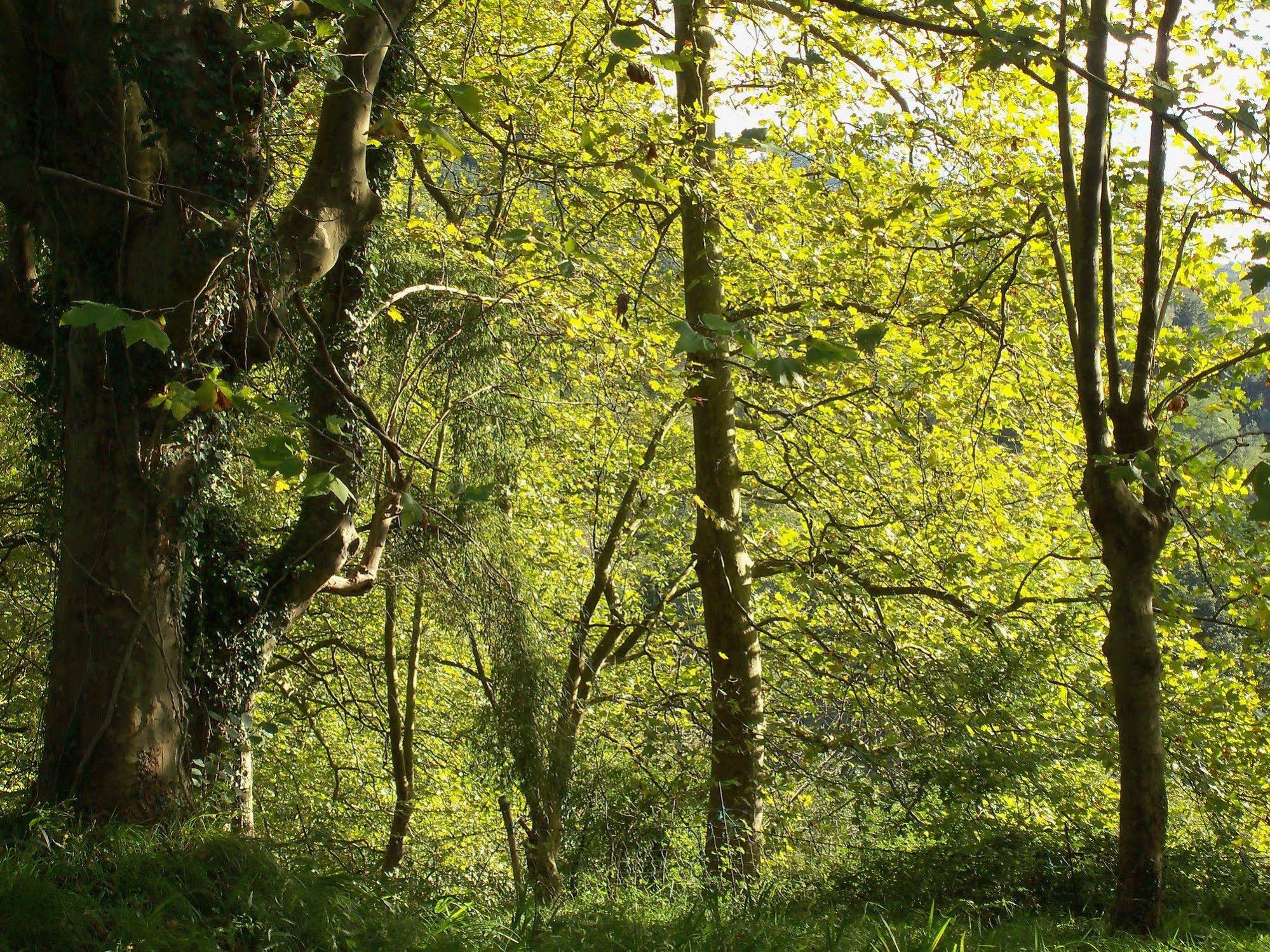 Pardiola Baserria Casa Rural
