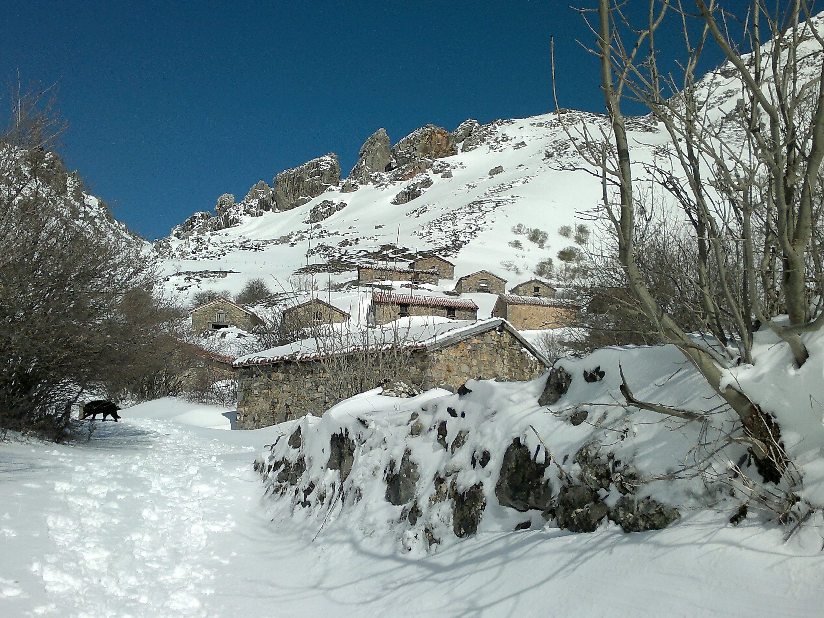 Hostal Nevandi
