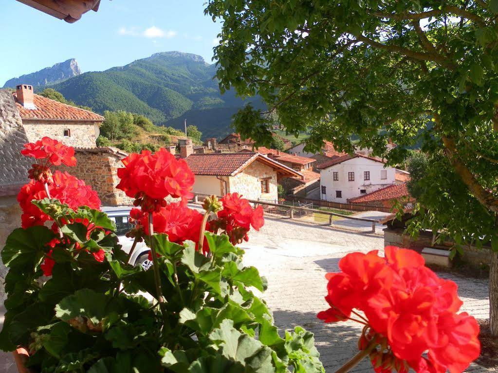 Posada Valle del Oso