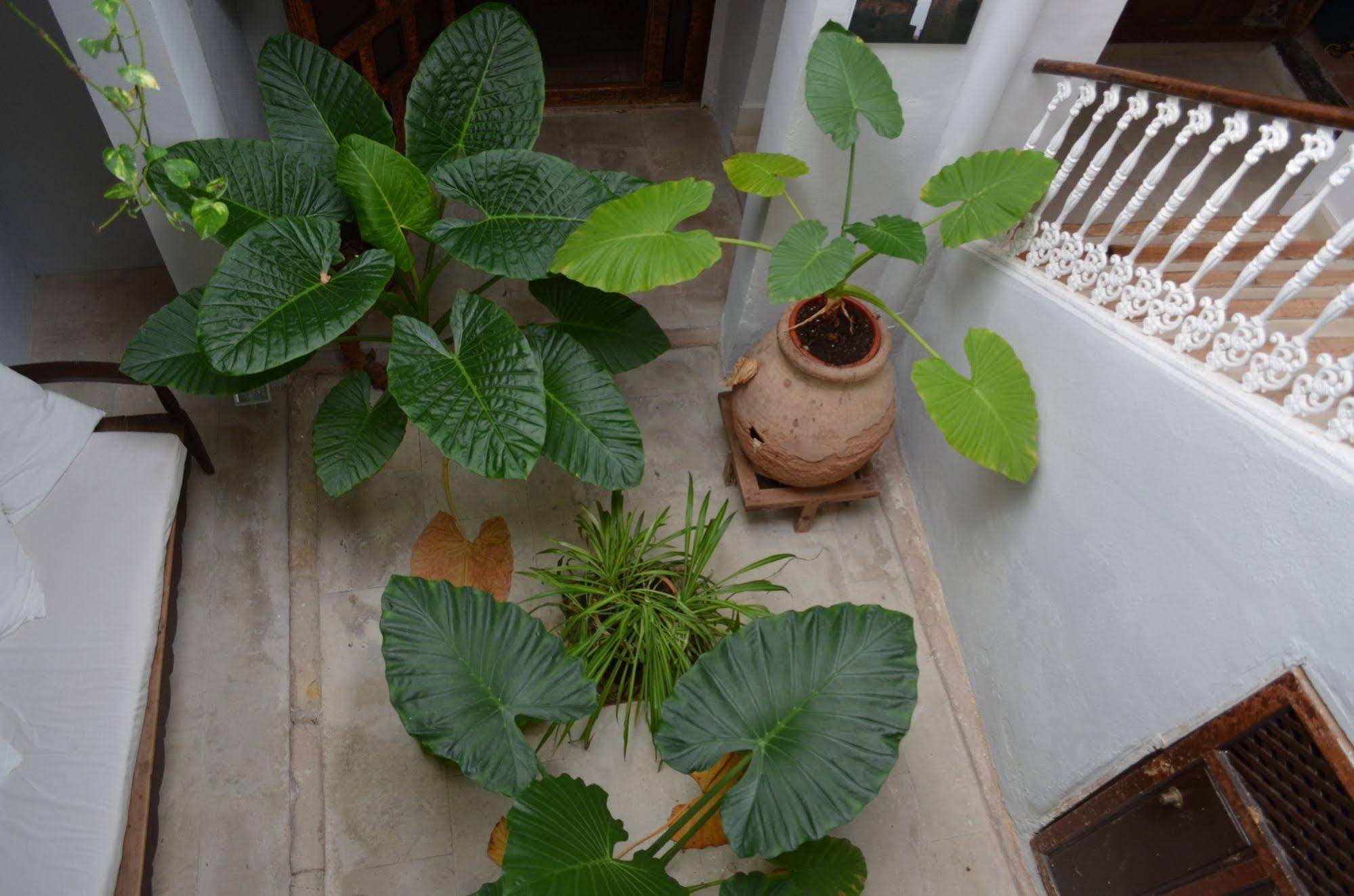 Casa Spa del Renacimiento