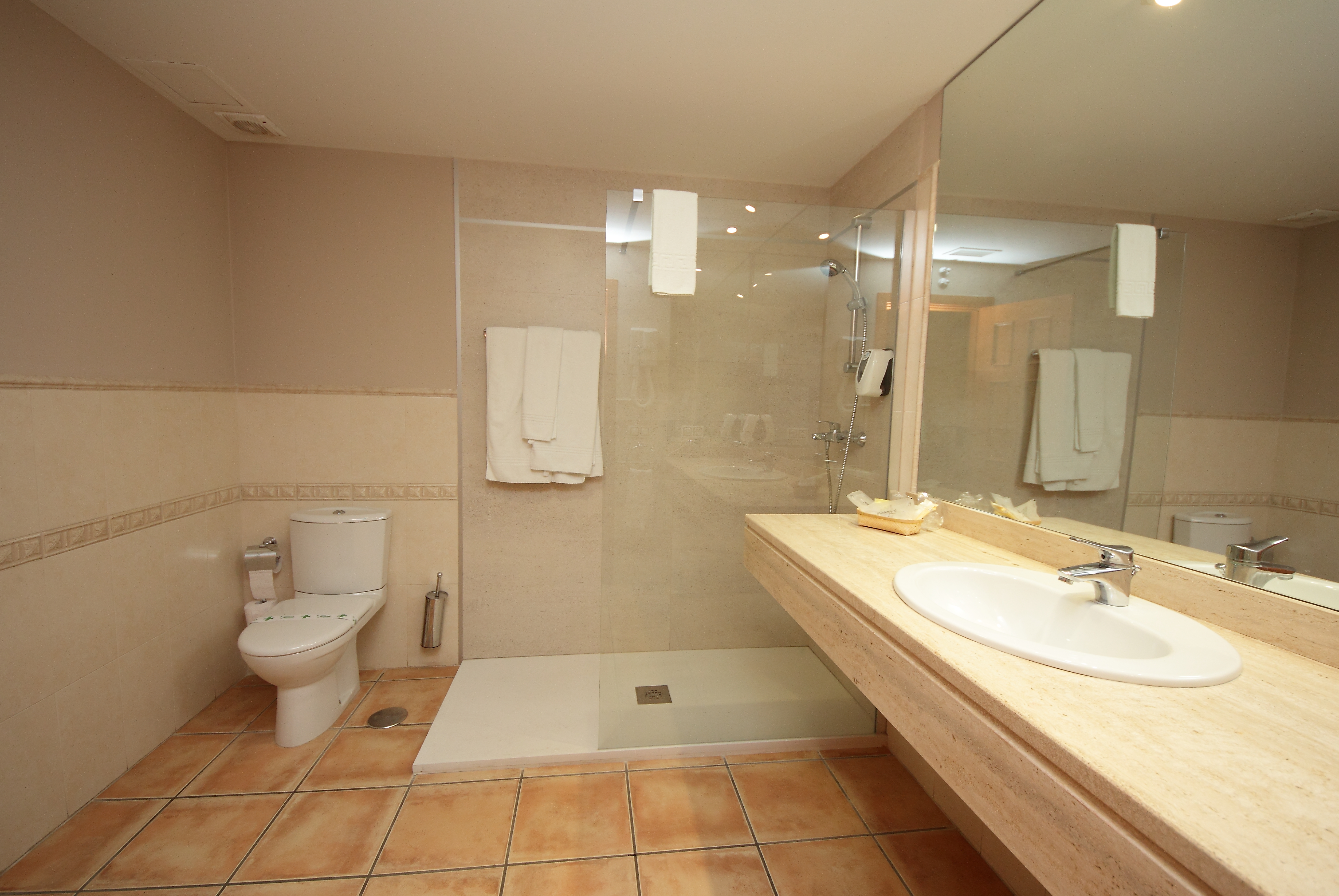 Hotel Château Viñasoro
