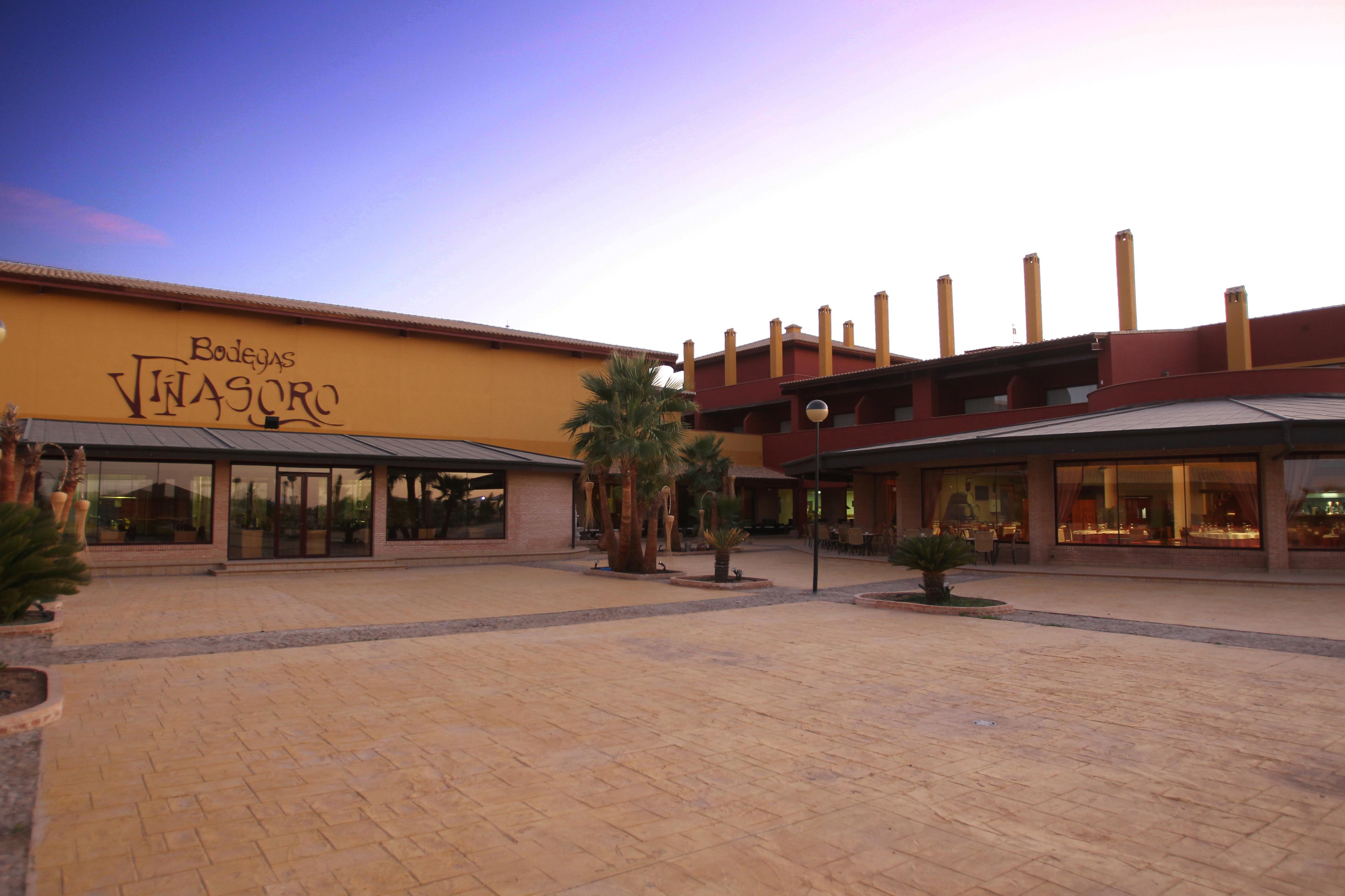 Hotel Château Viñasoro