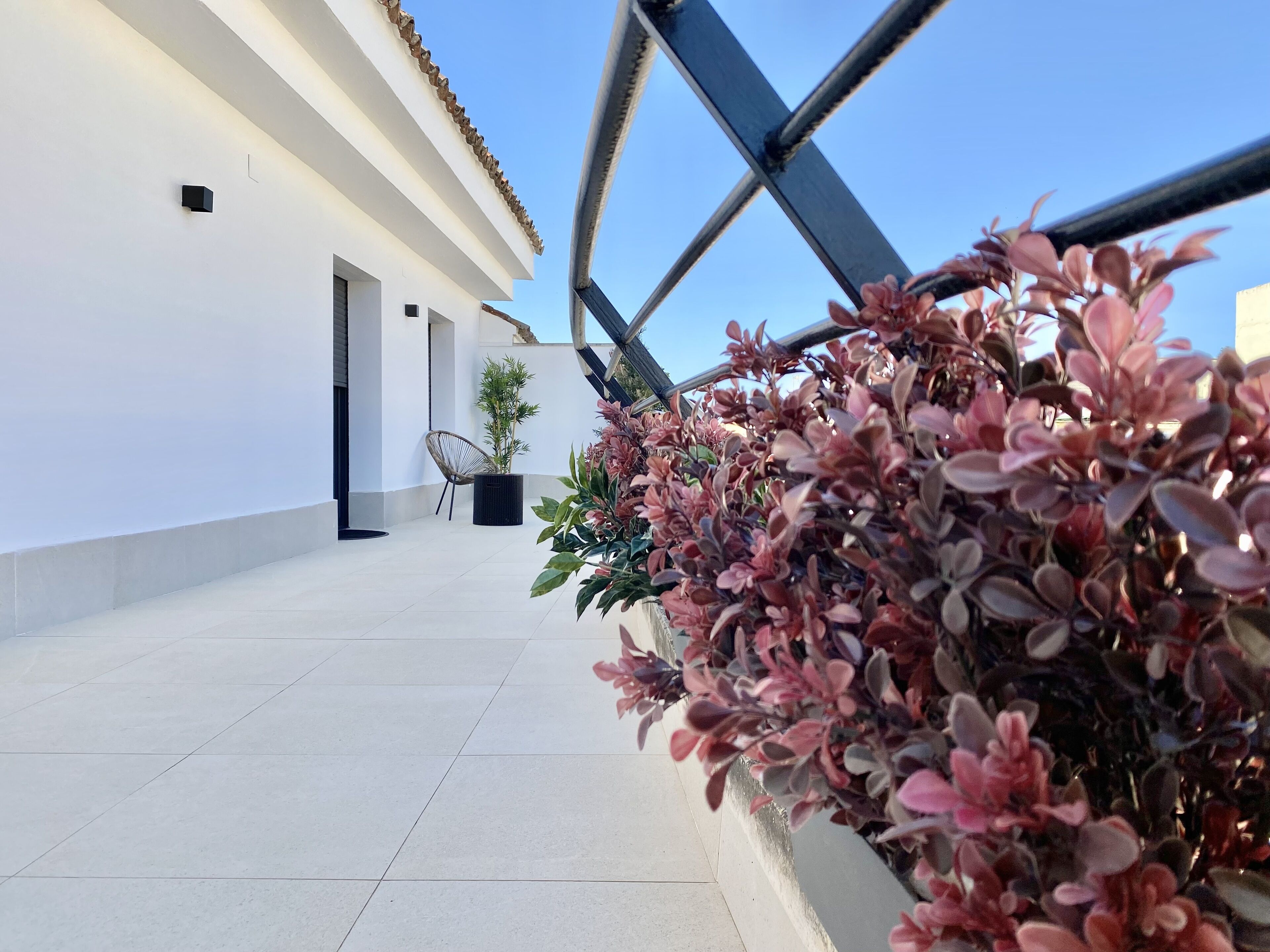 El Balcon De La Reina Suites