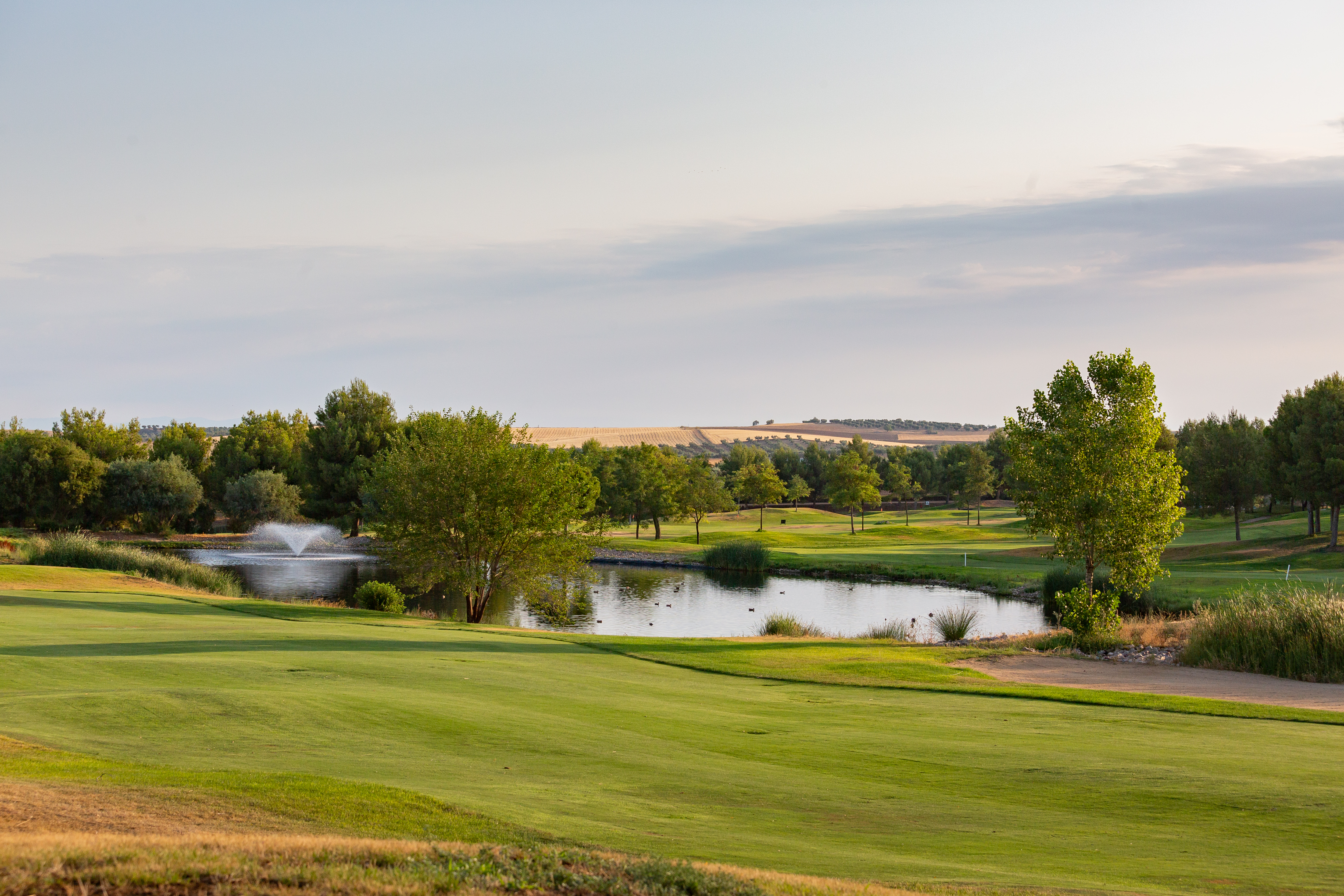 Exe Layos Golf
