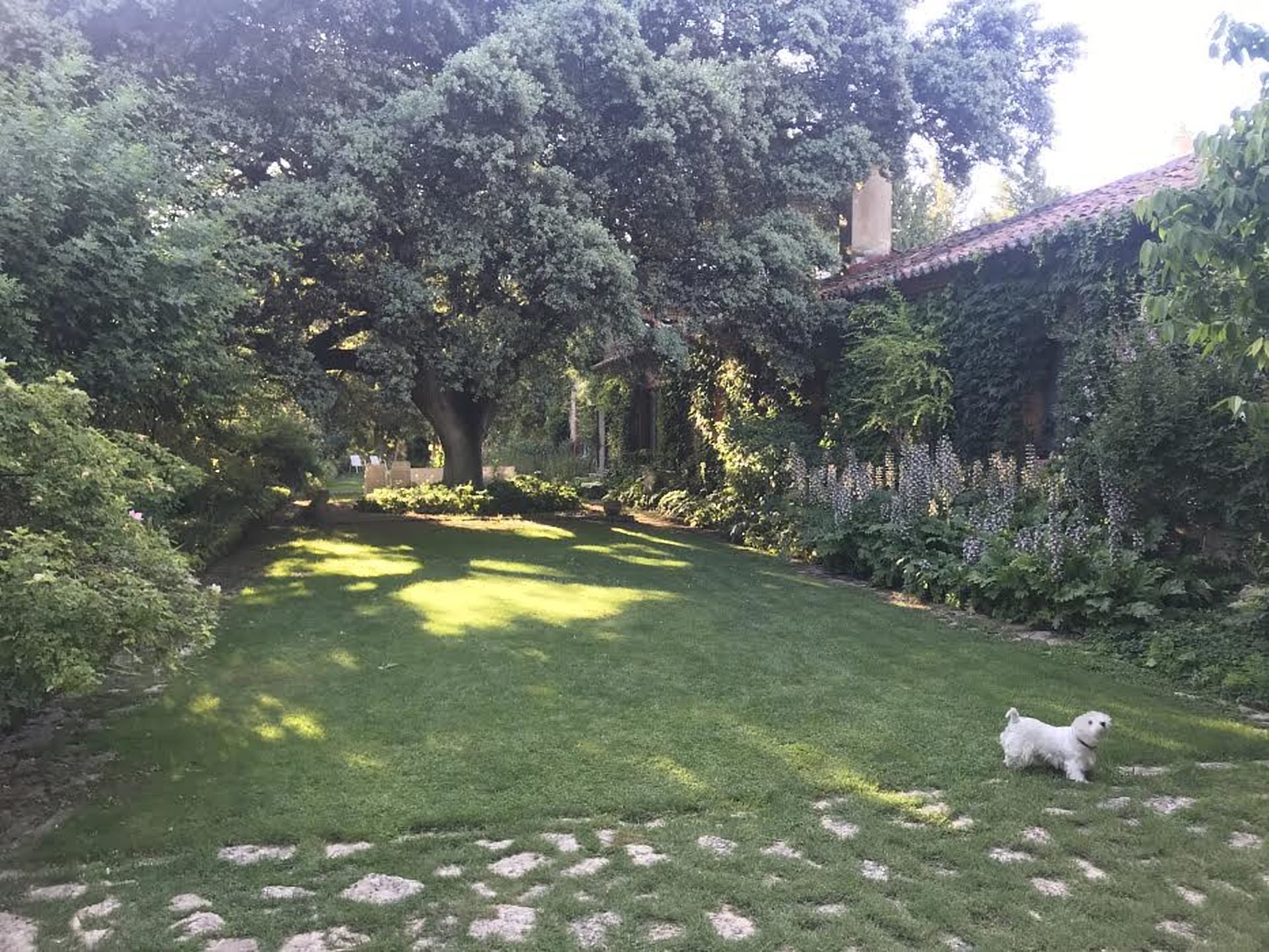 Finca Piedras Menaras