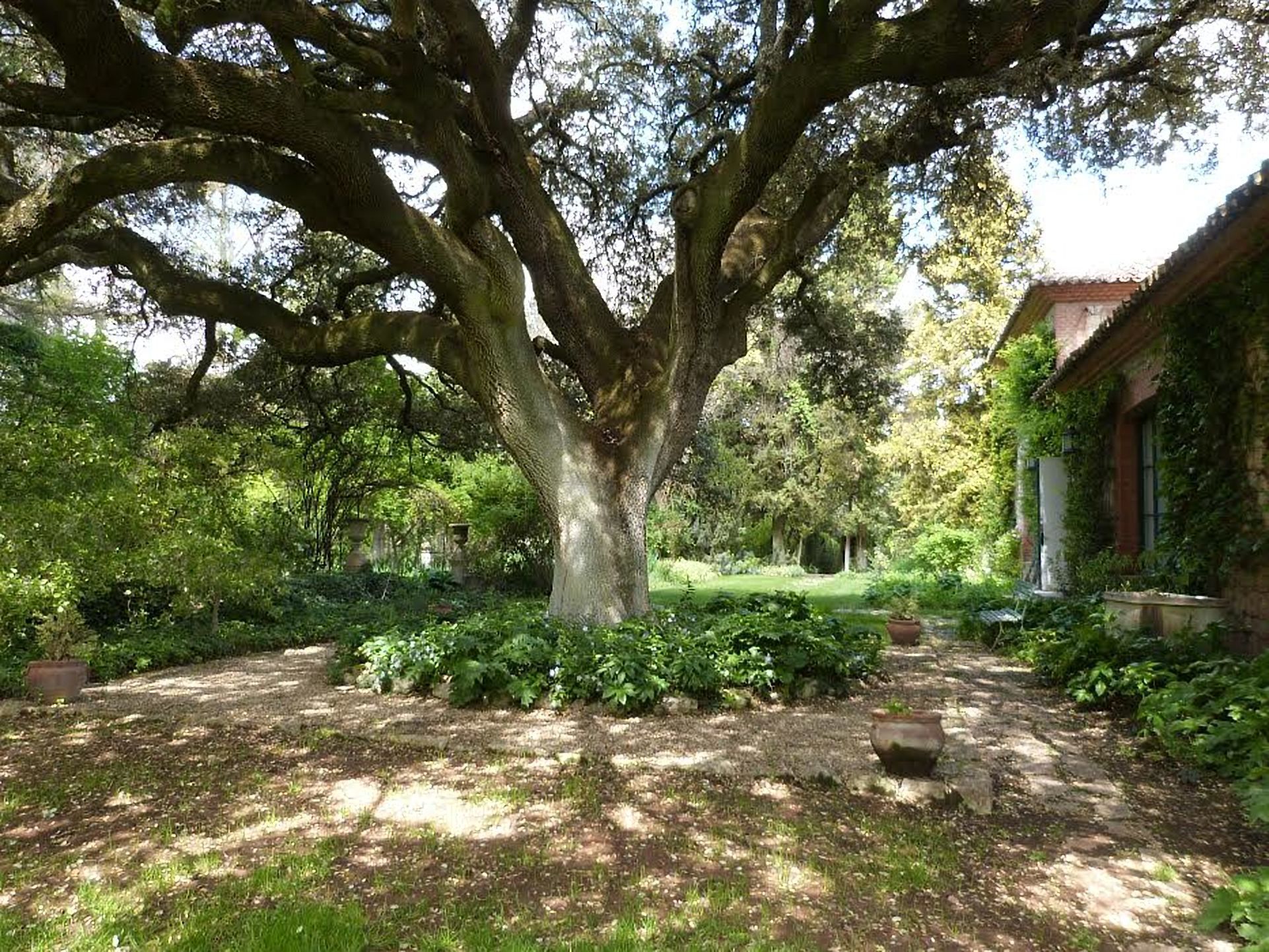 Finca Piedras Menaras
