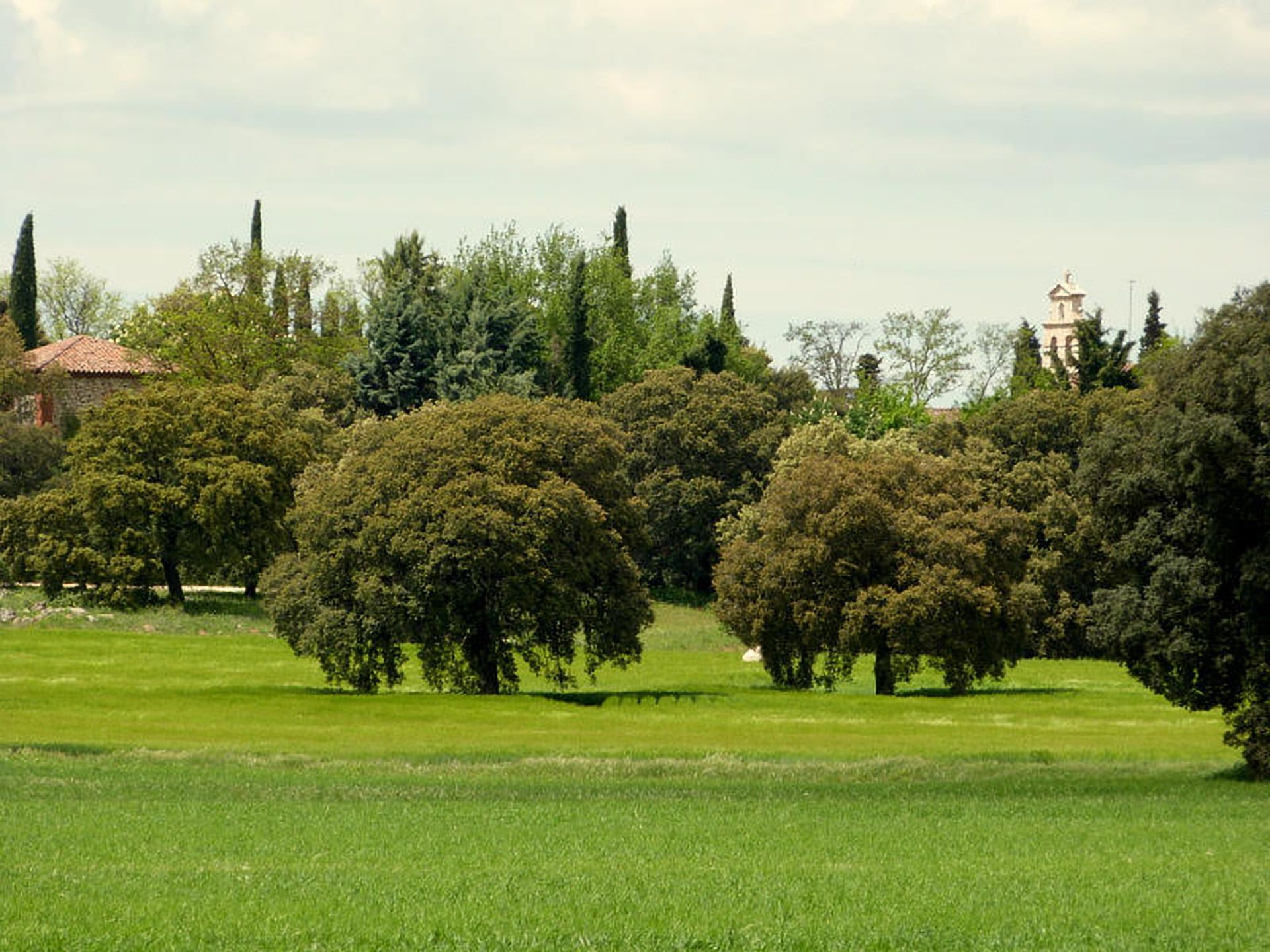 Finca Piedras Menaras