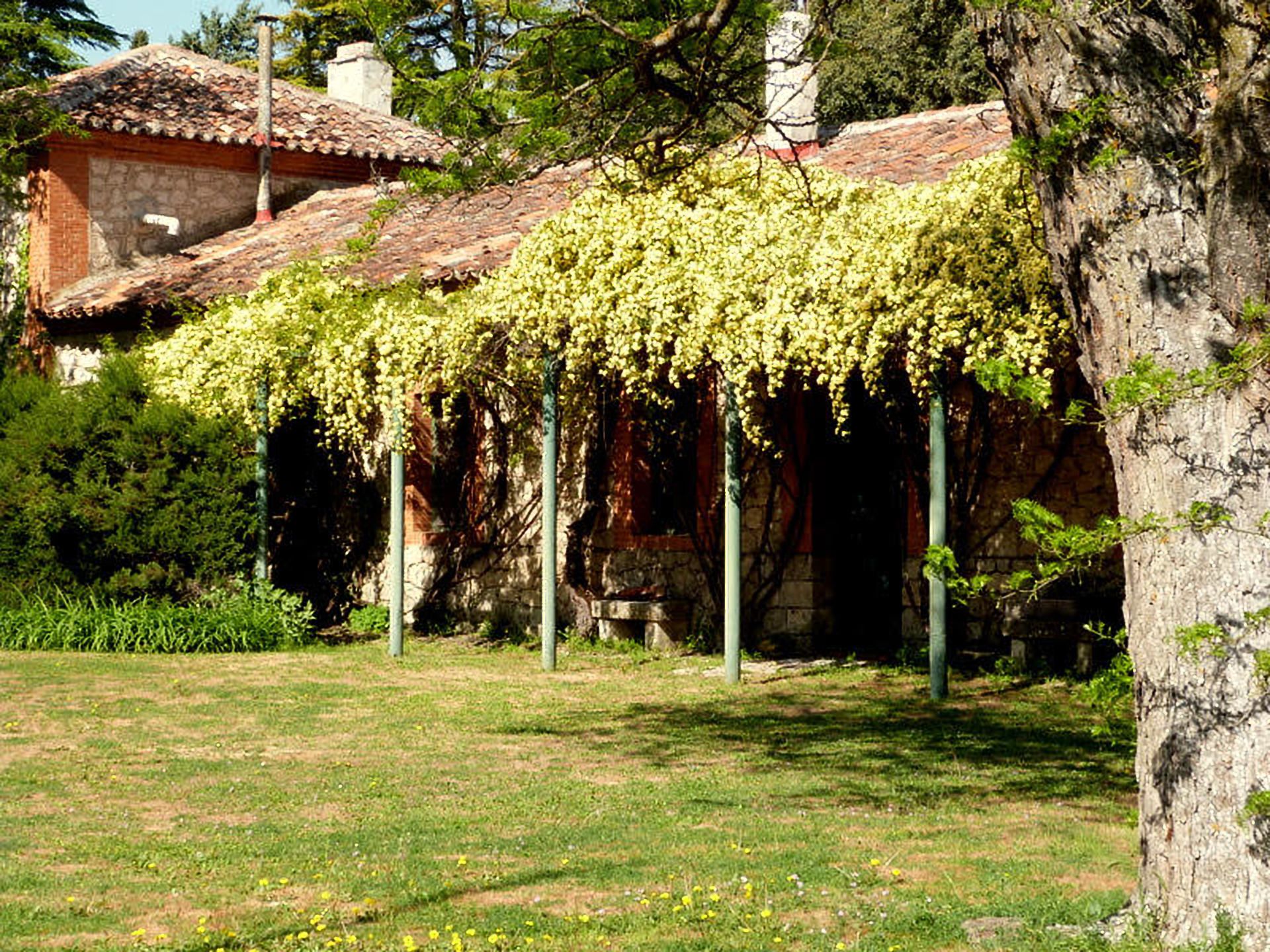 Finca Piedras Menaras