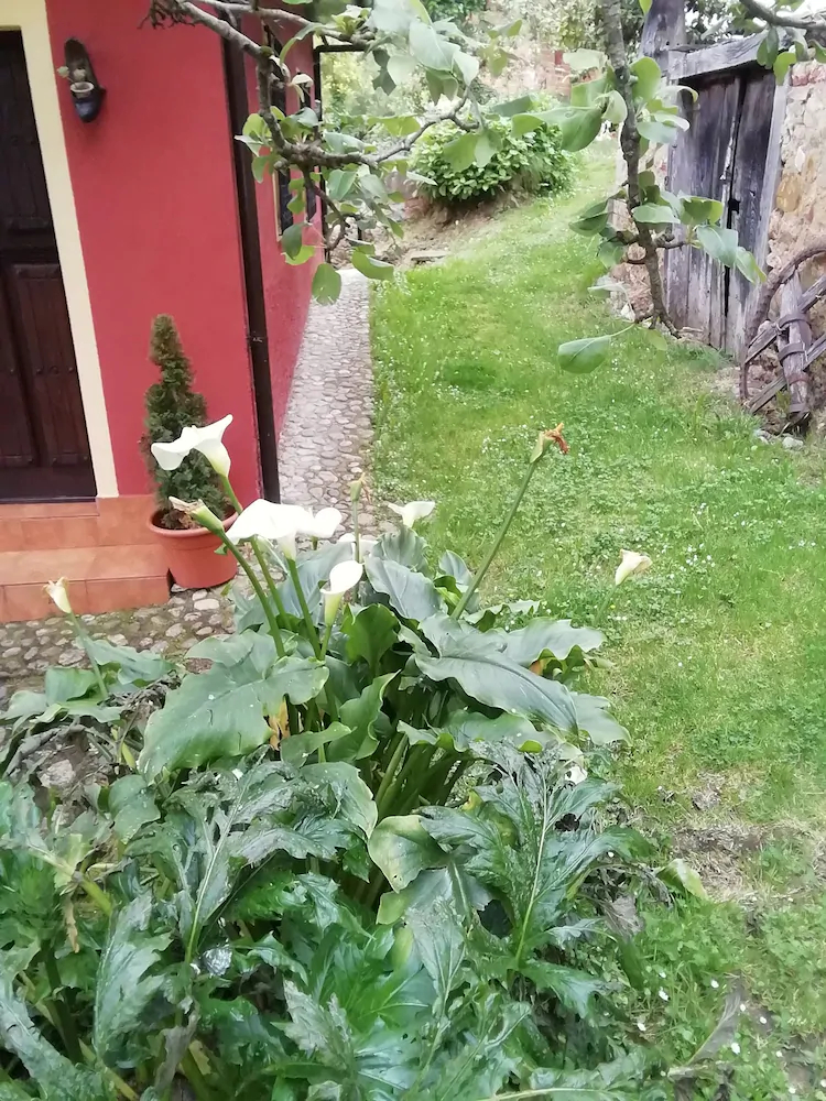 Casa Horno