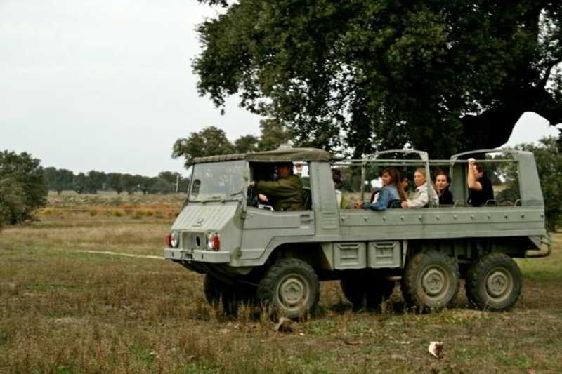 Hotel Valdepalacios Gourmand