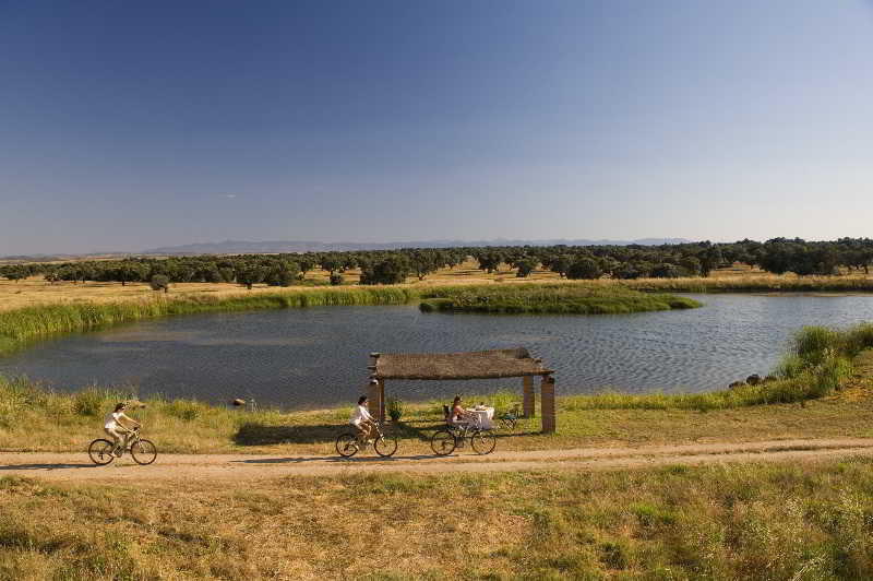 Hotel Valdepalacios Gourmand