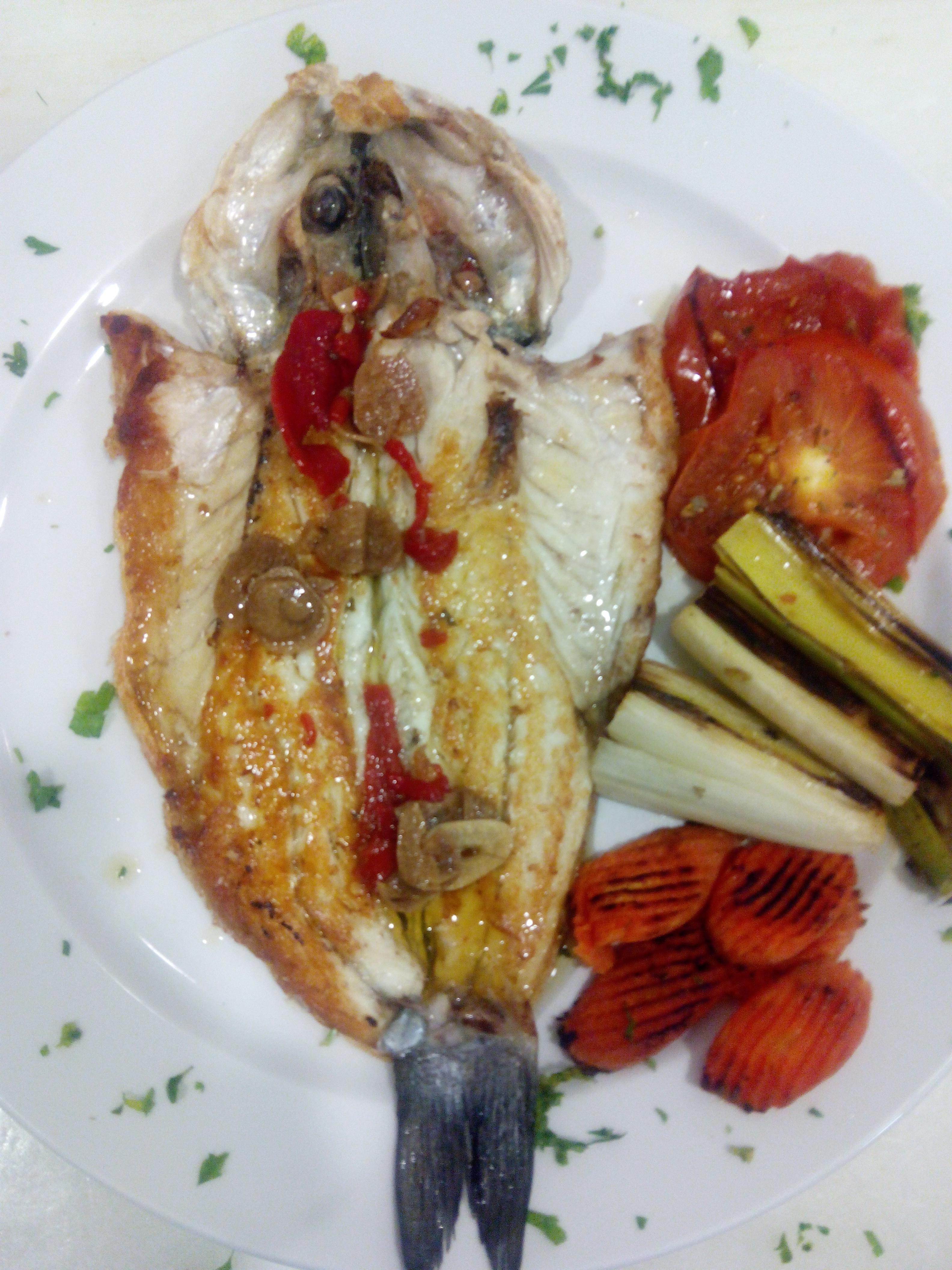 Nuevo Hotel Vista Alegre